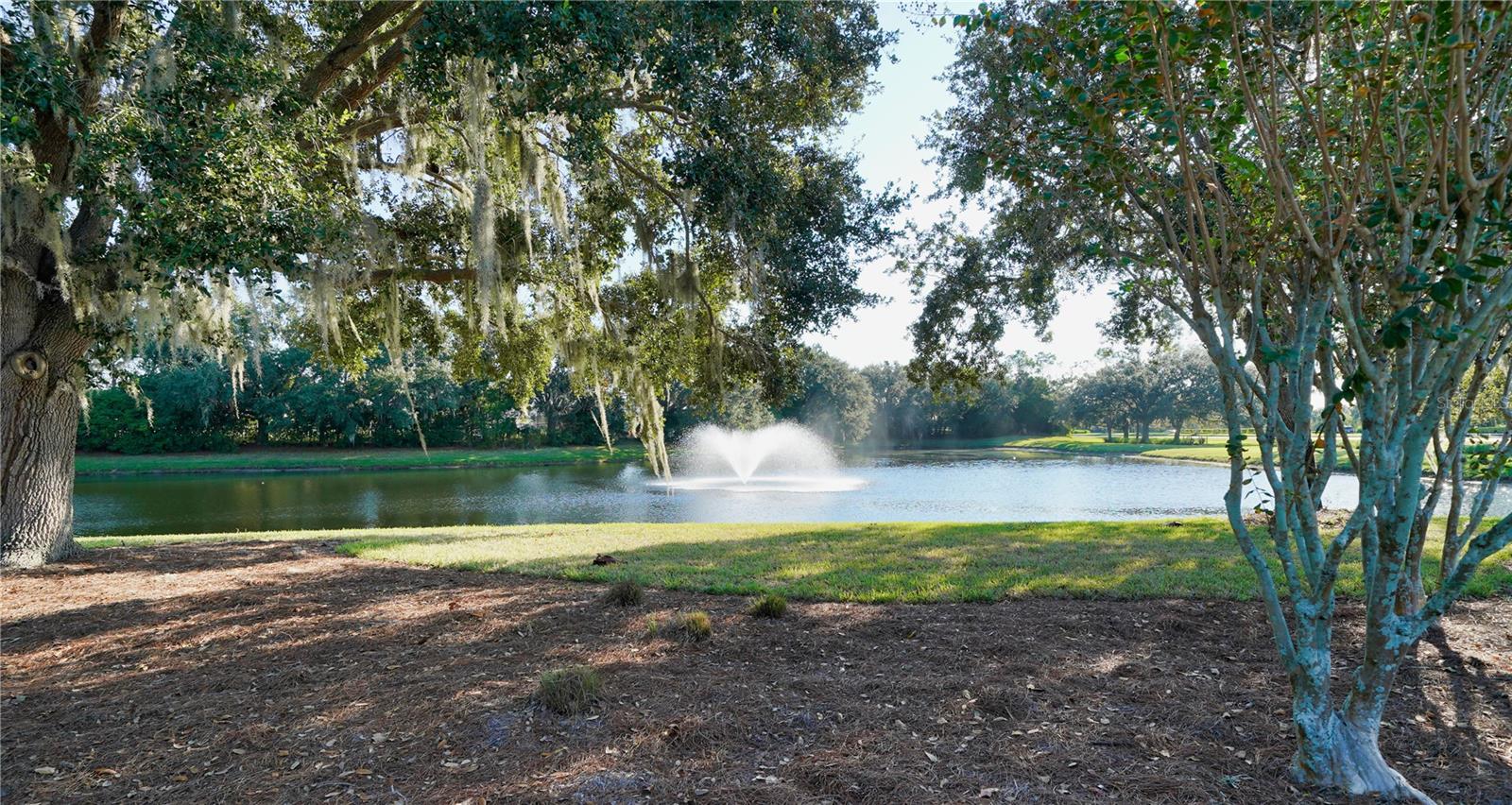 8429 MISTY MORNING CT