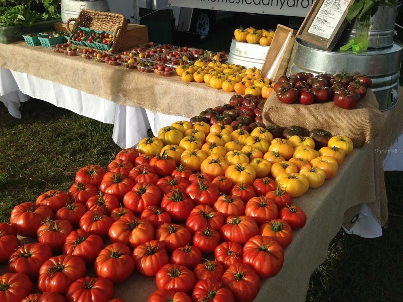 2513 CONSTITUTION BLVD