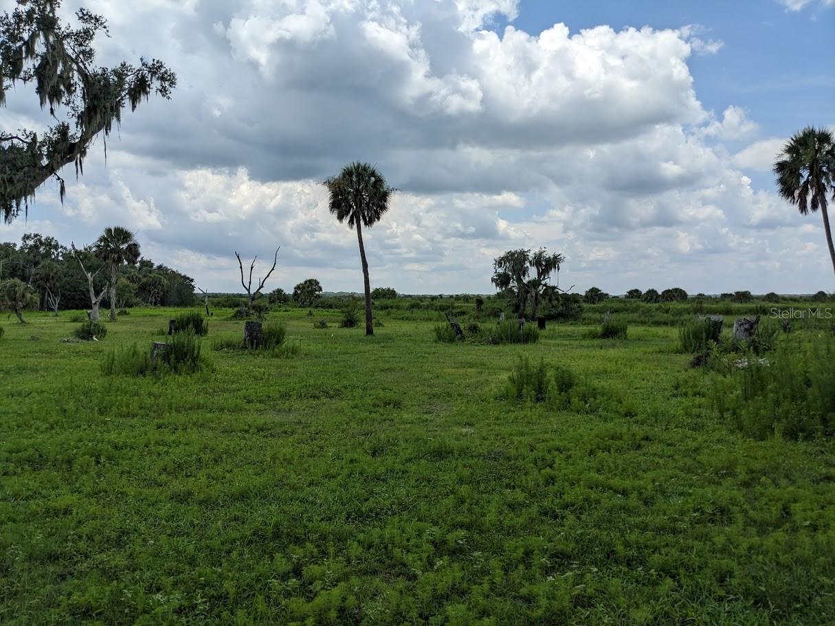 12980 and 12990 RIVER RD