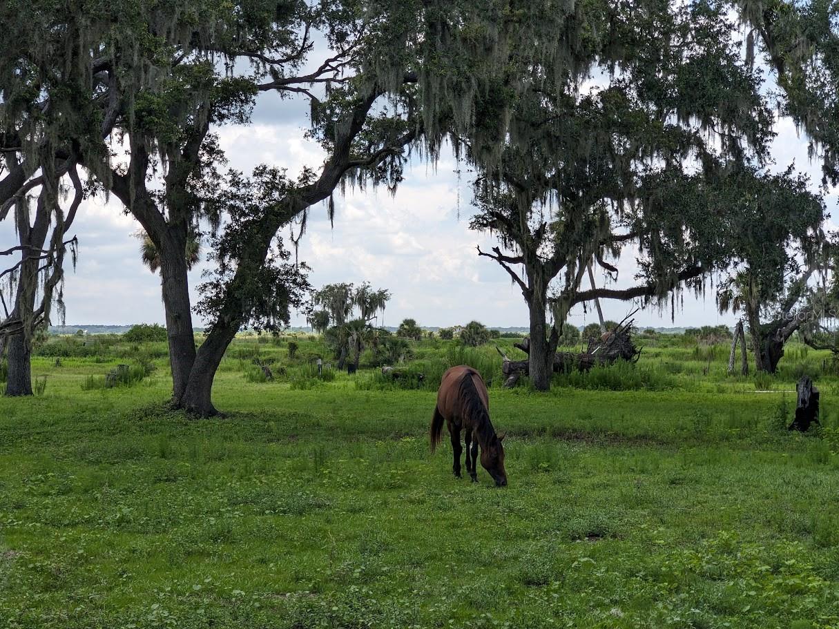 12980 and 12990 RIVER RD