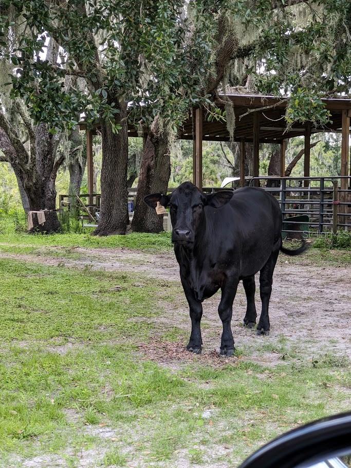 12980 and 12990 RIVER RD