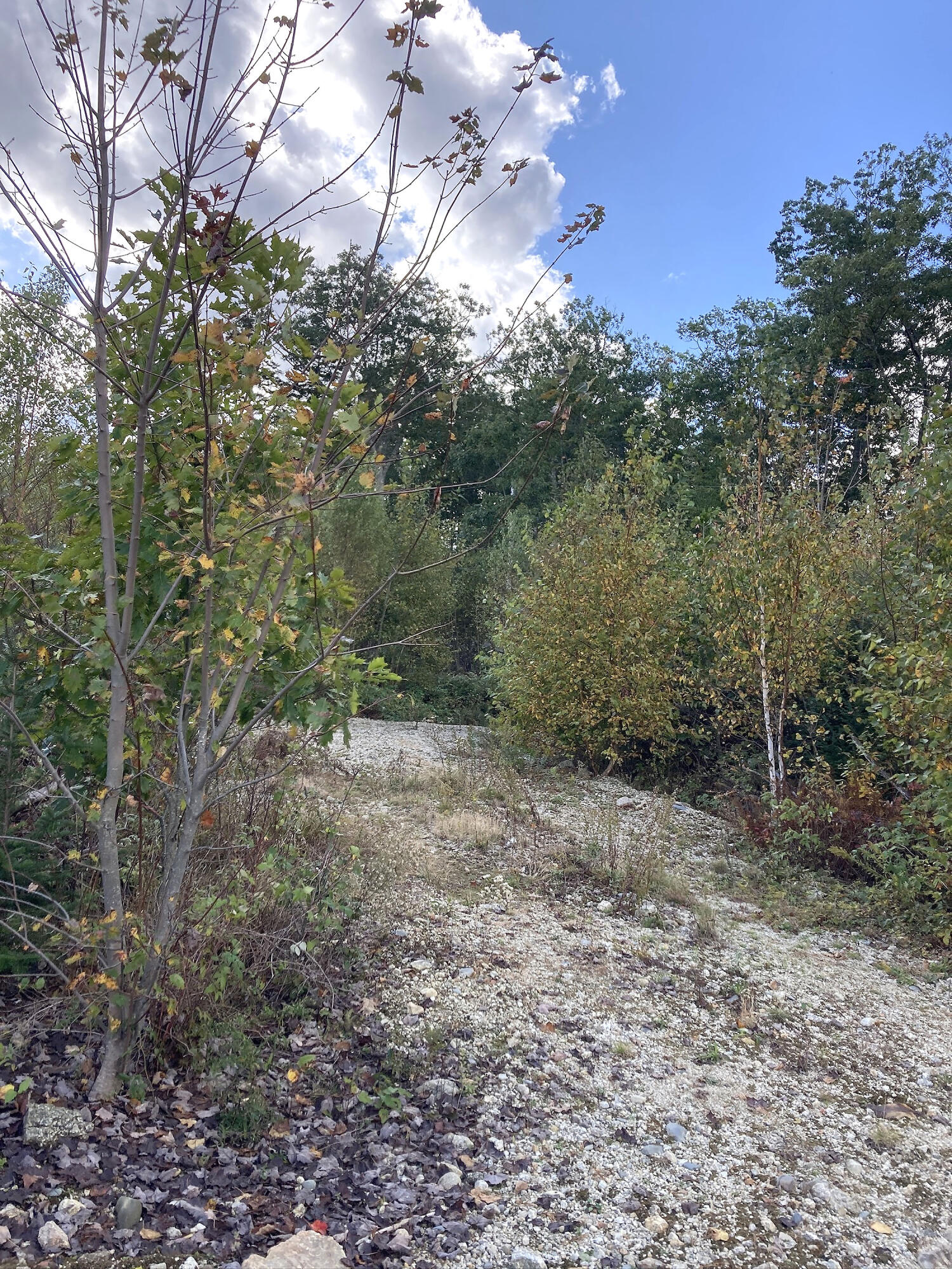 533A Range Road
