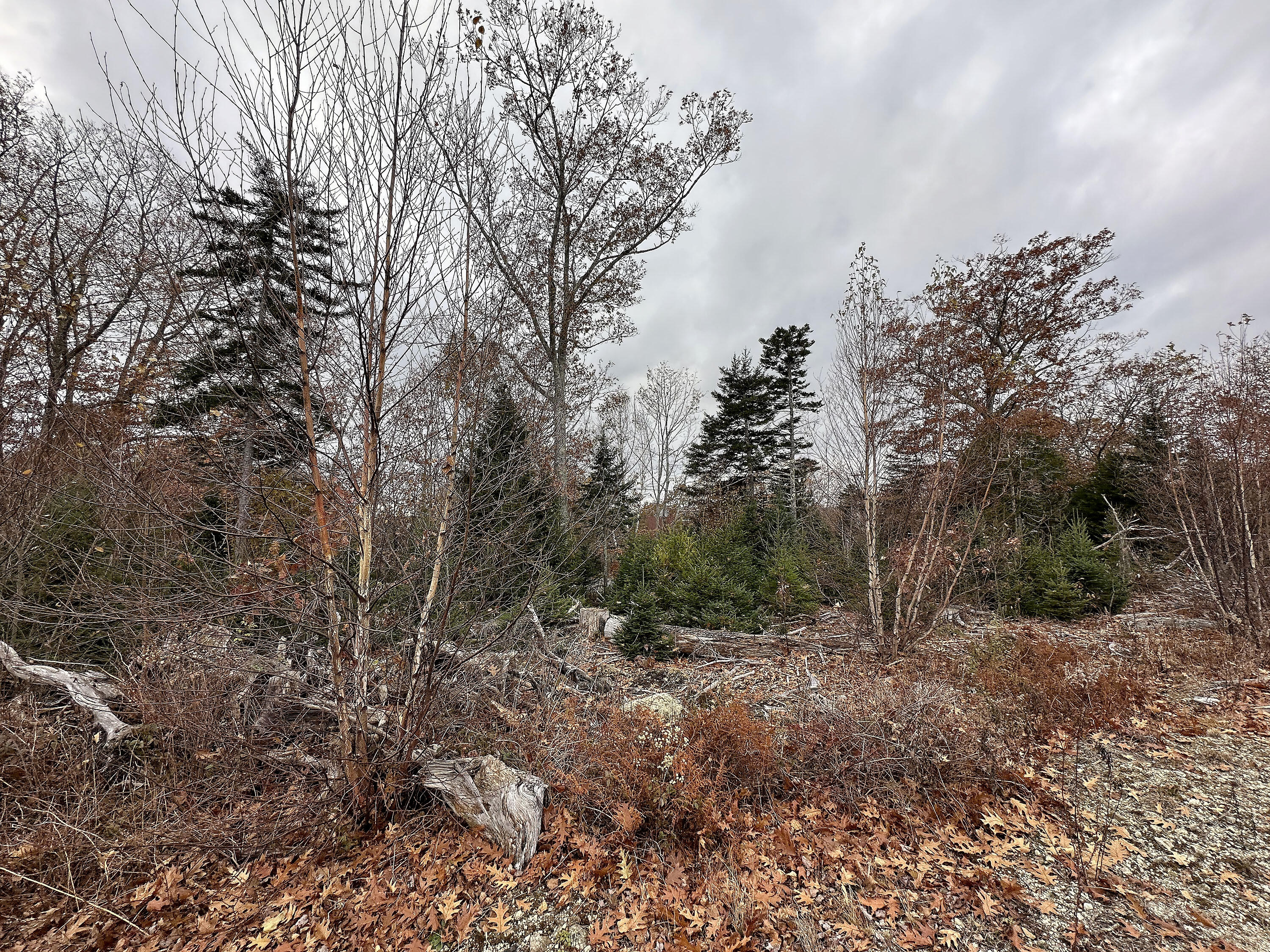 533A Range Road