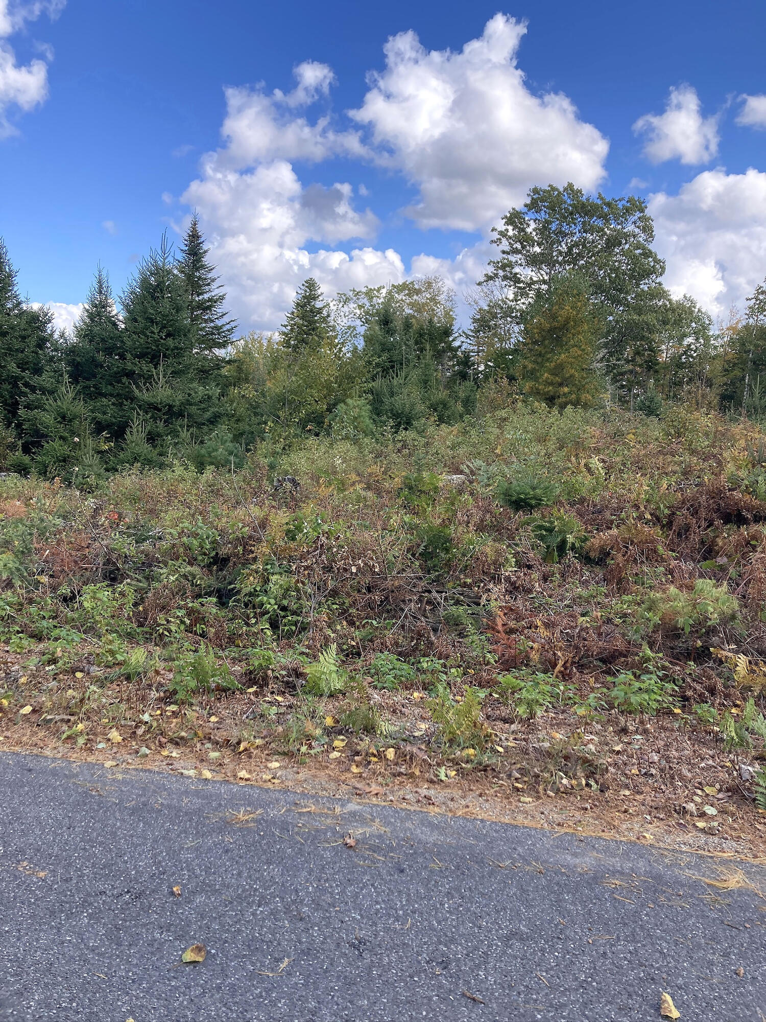 533A Range Road
