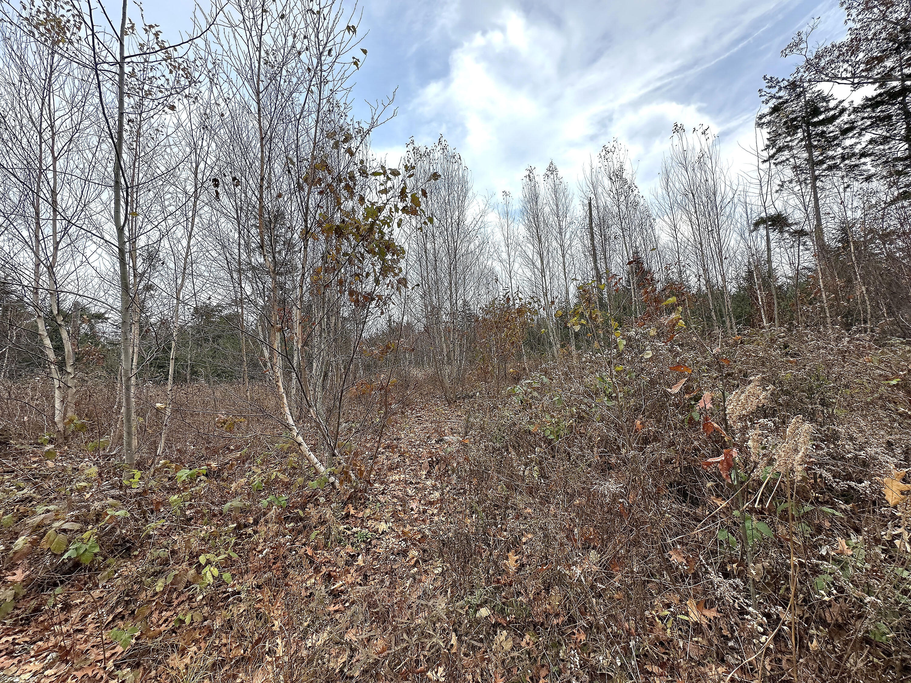 533A Range Road