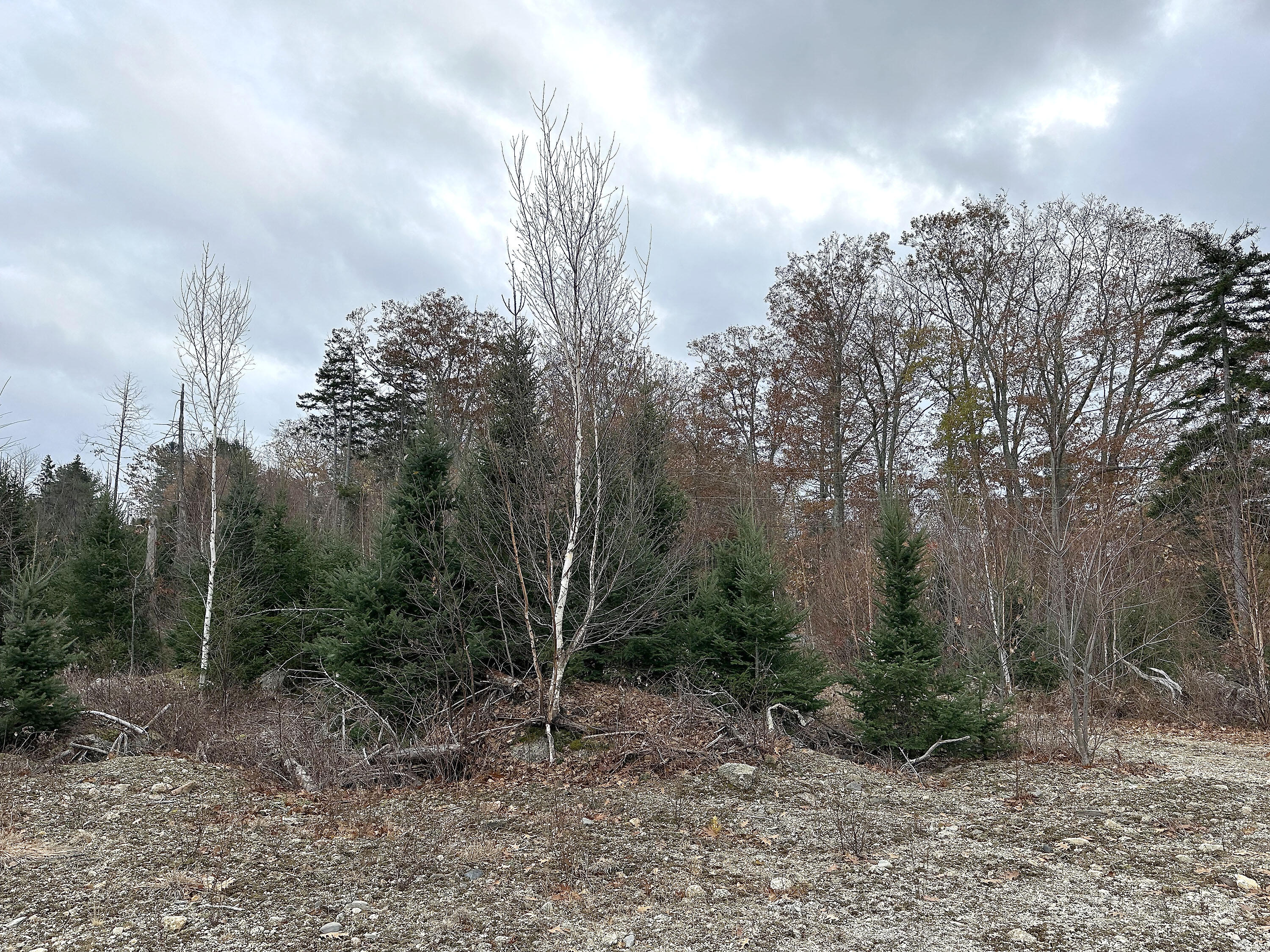 533A Range Road