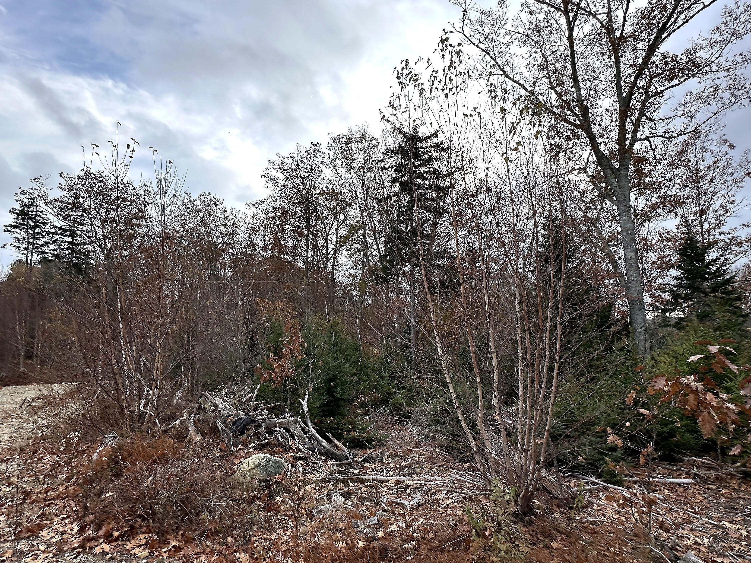 533A Range Road