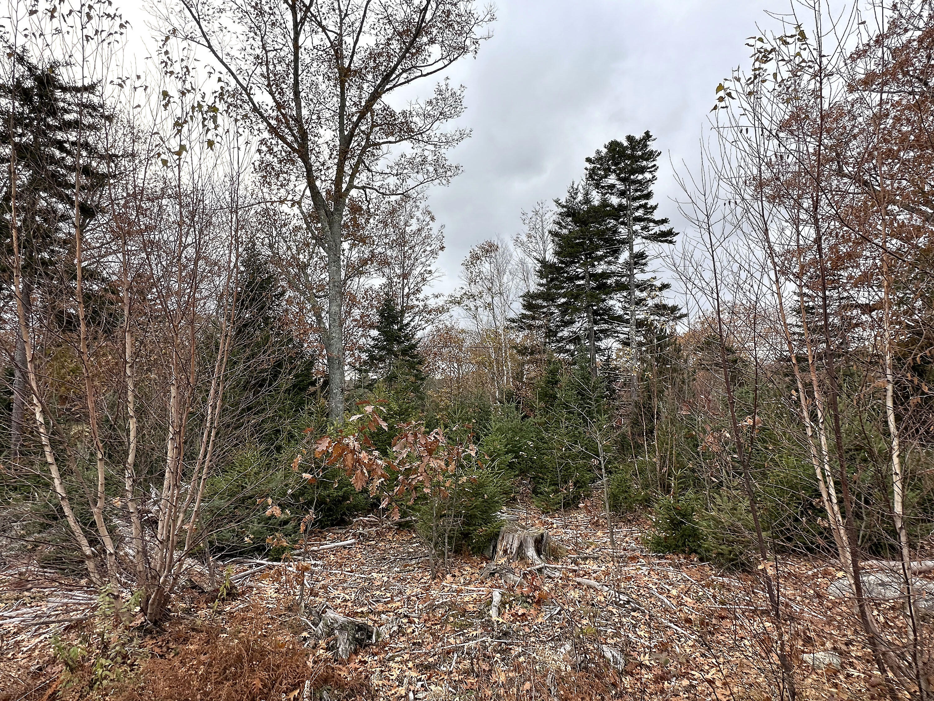 533A Range Road