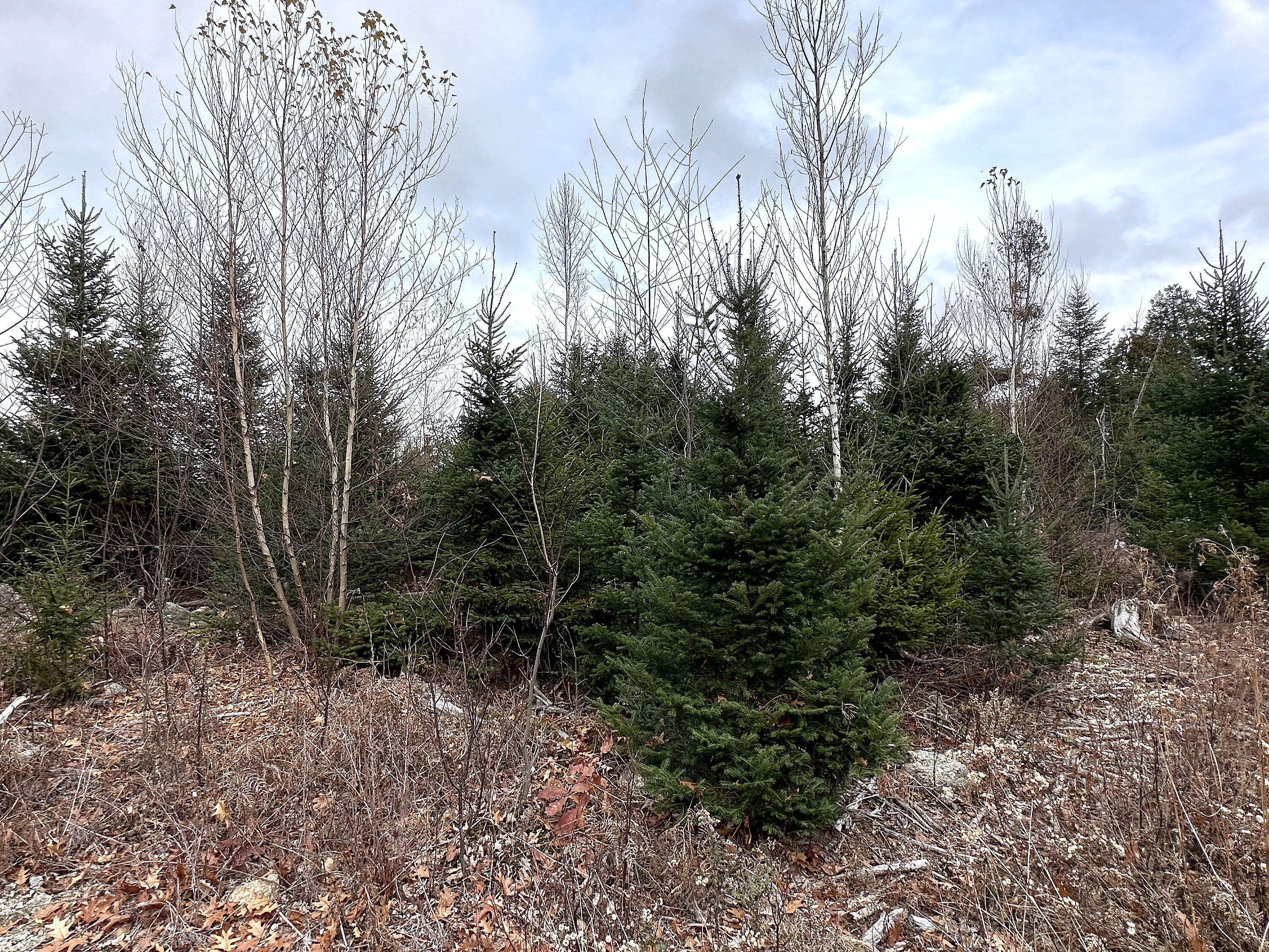 533A Range Road