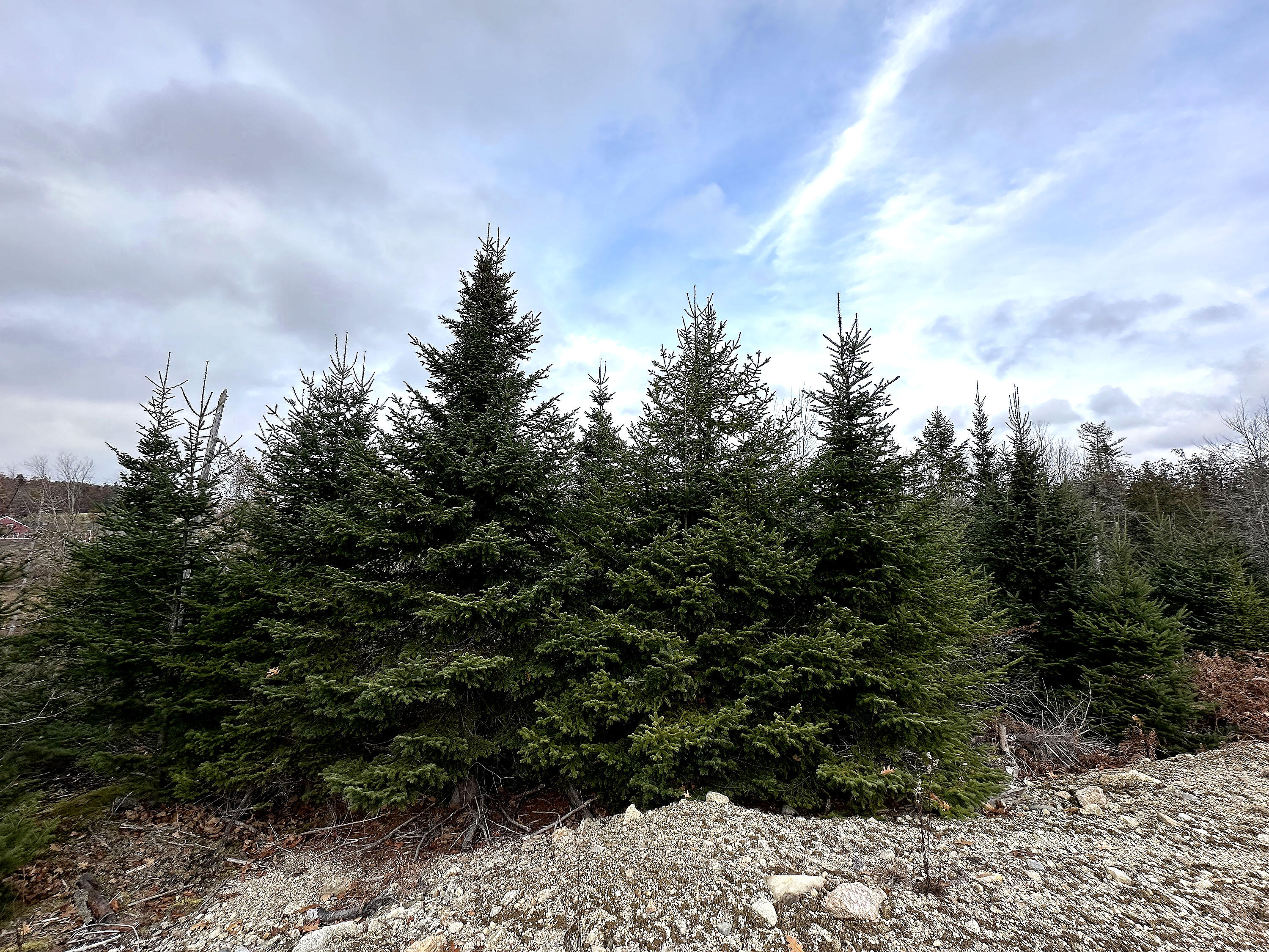 533A Range Road