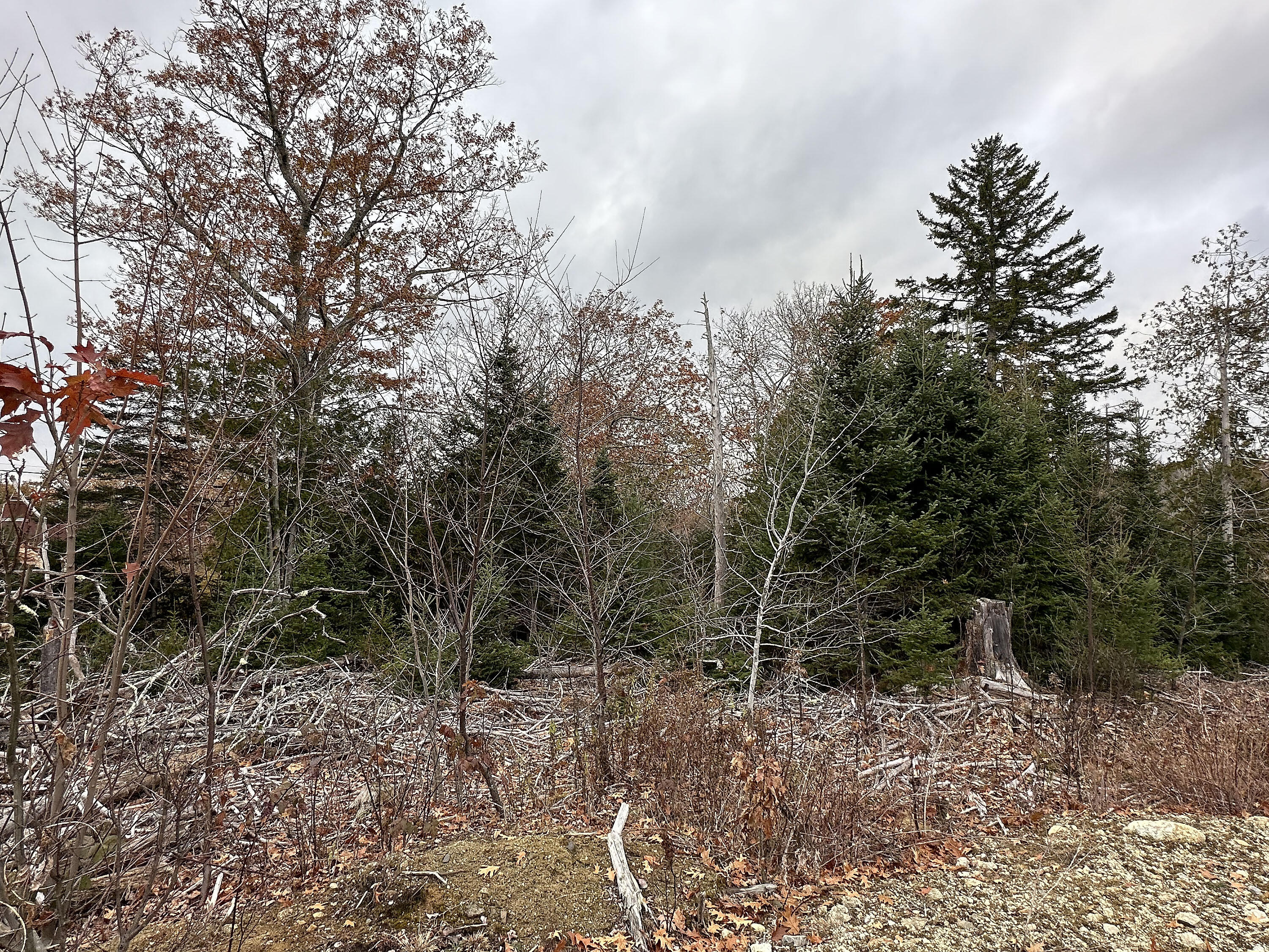533A Range Road