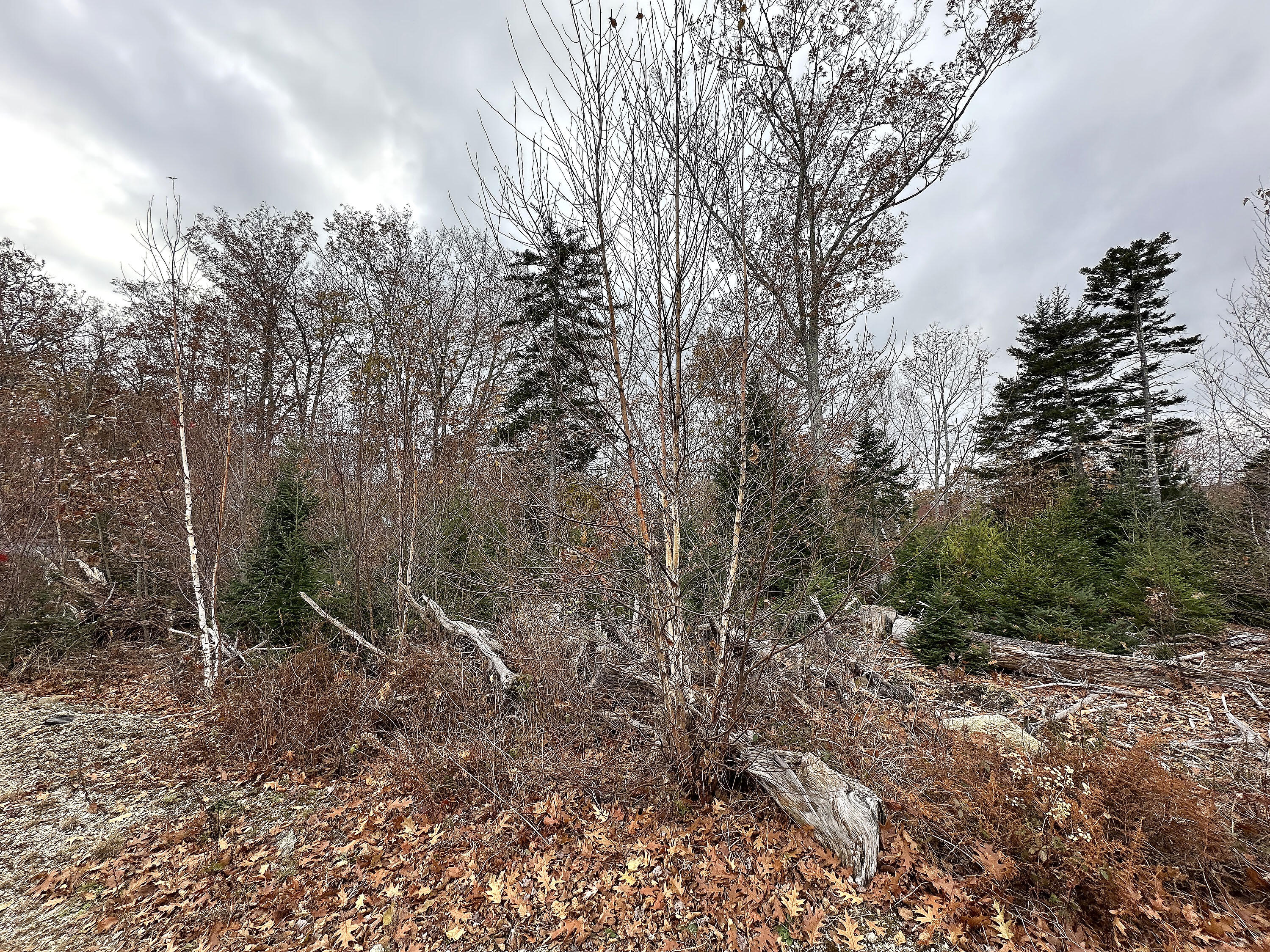 533A Range Road