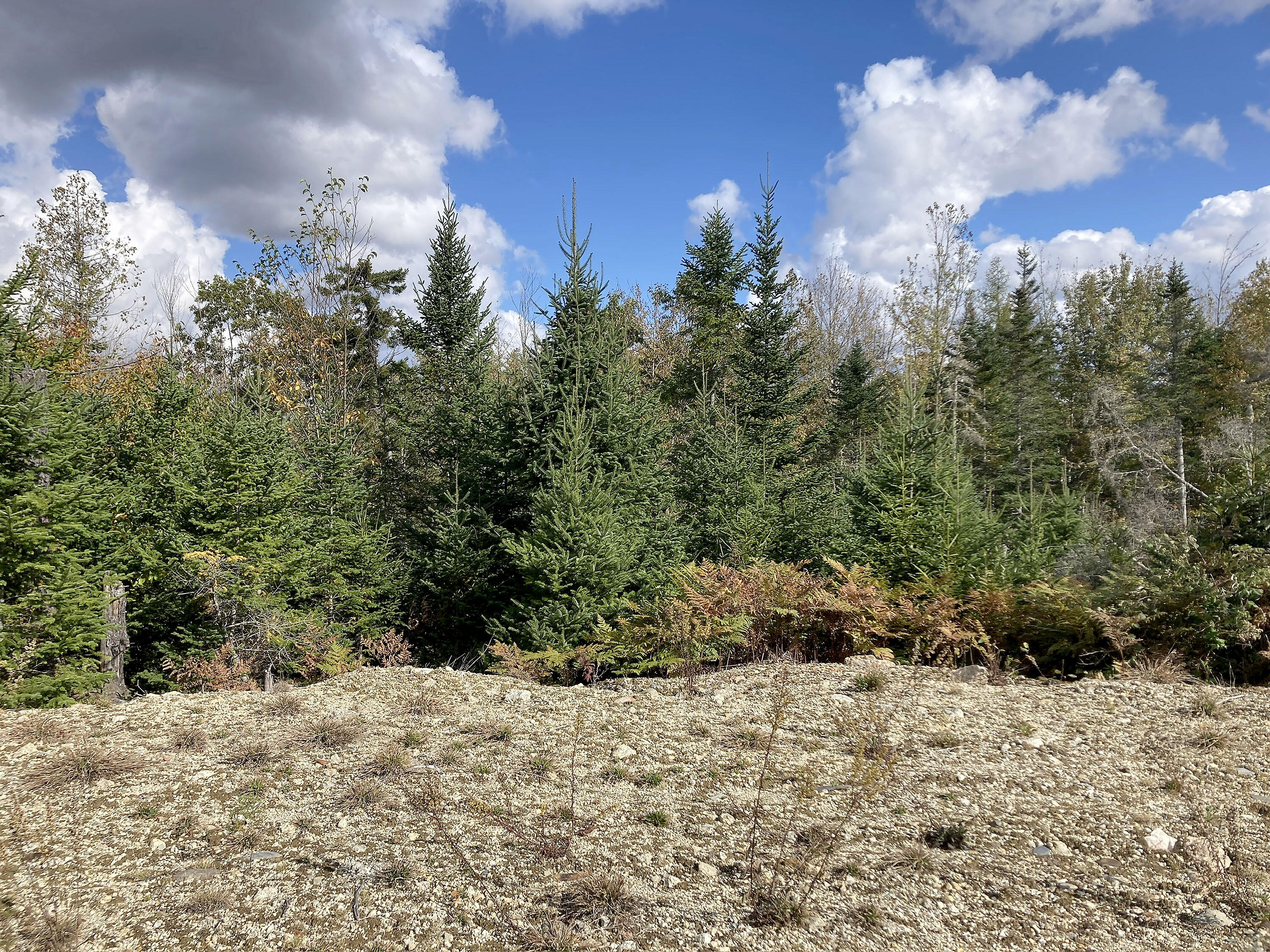 533A Range Road