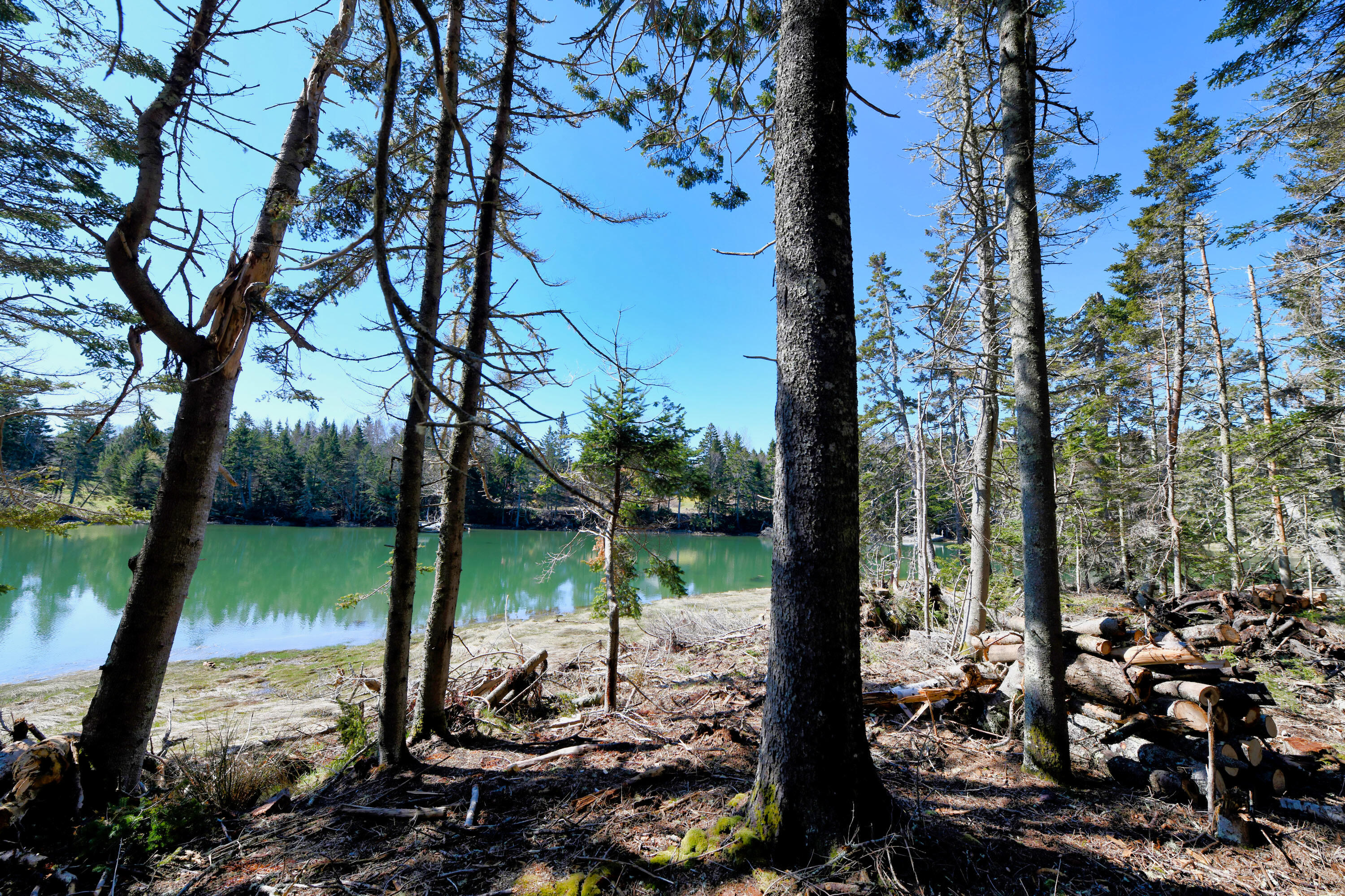 Deer Isle