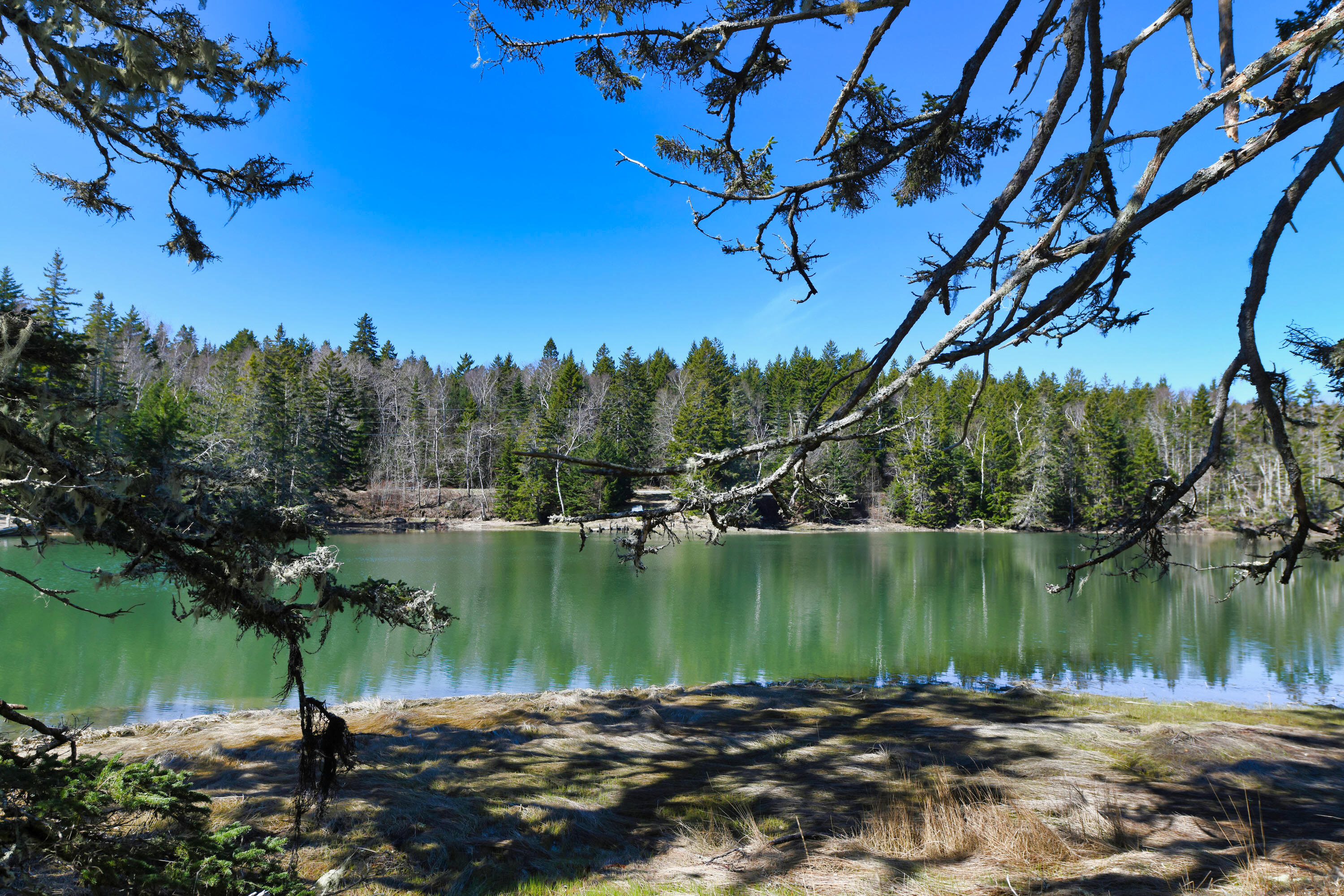 Deer Isle