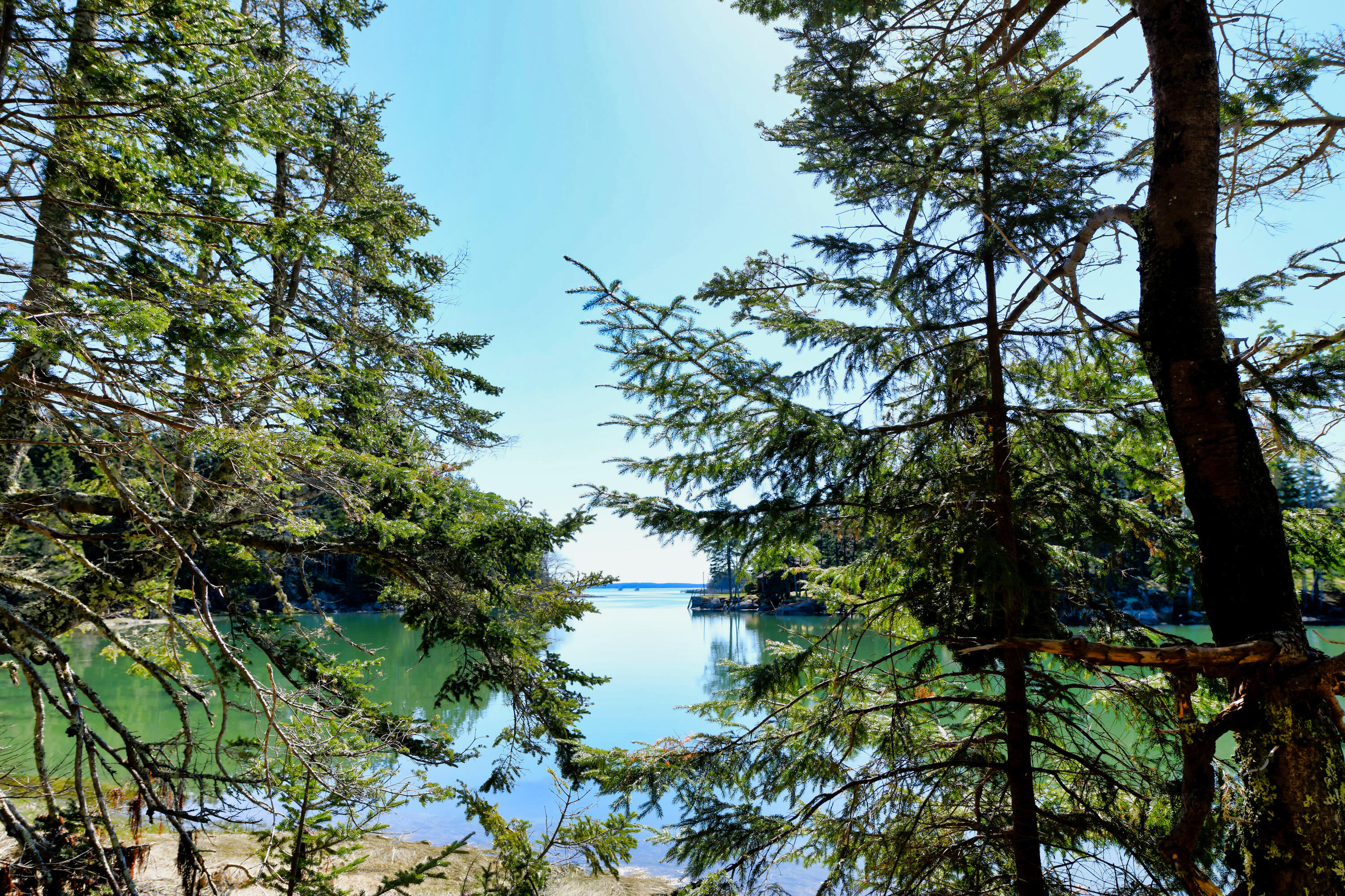 Deer Isle