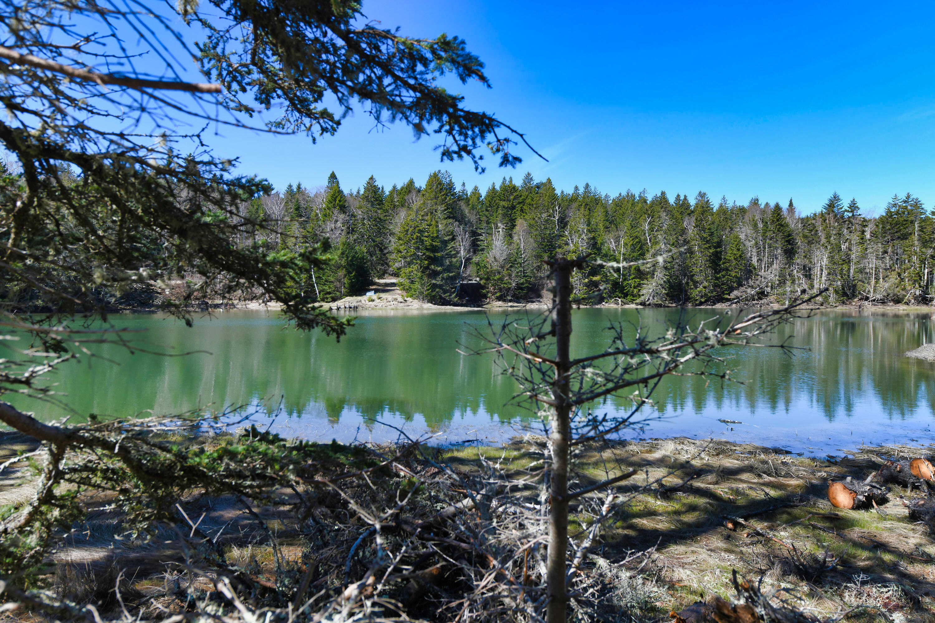 Deer Isle