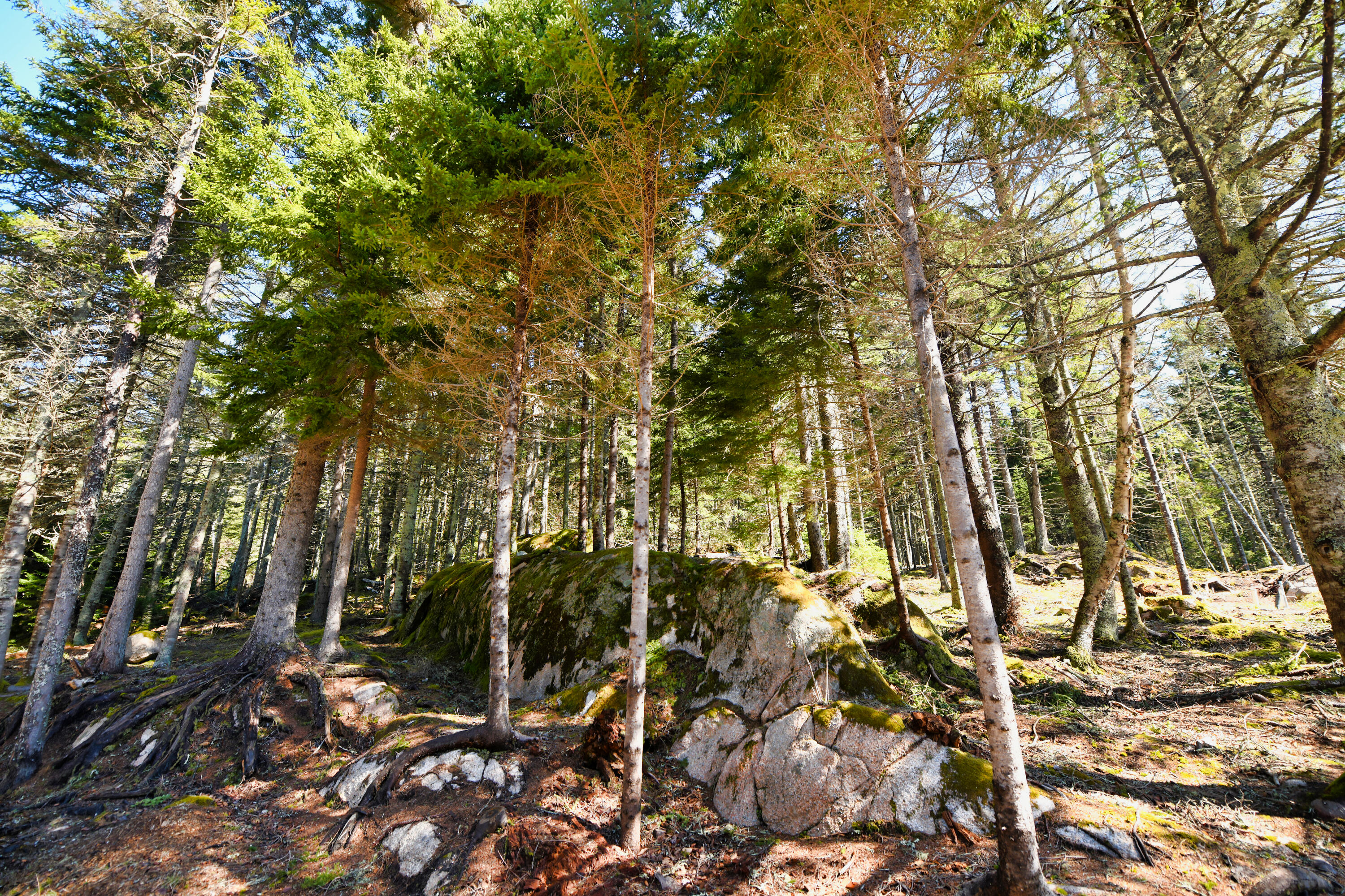 Deer Isle