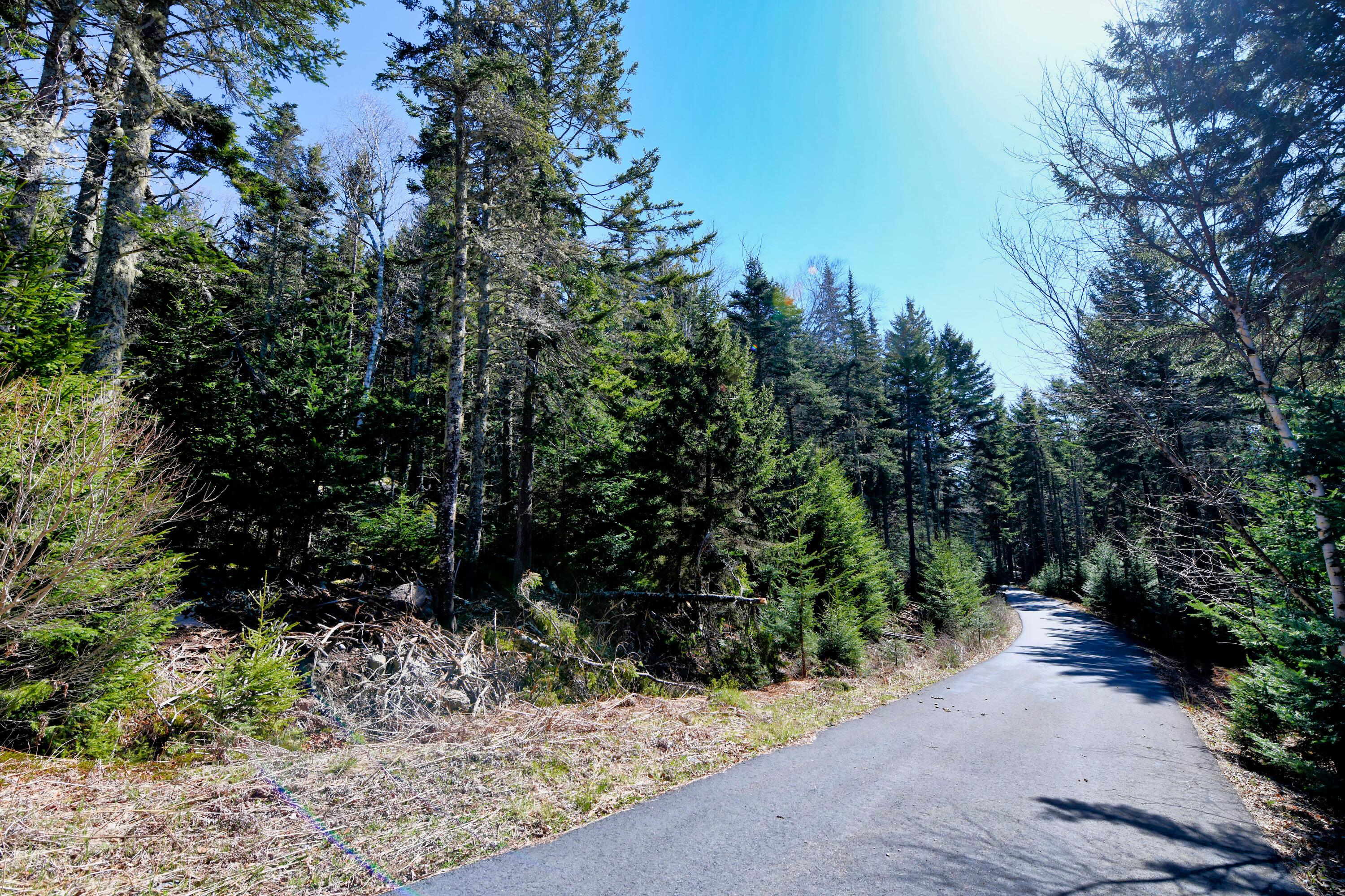 Deer Isle