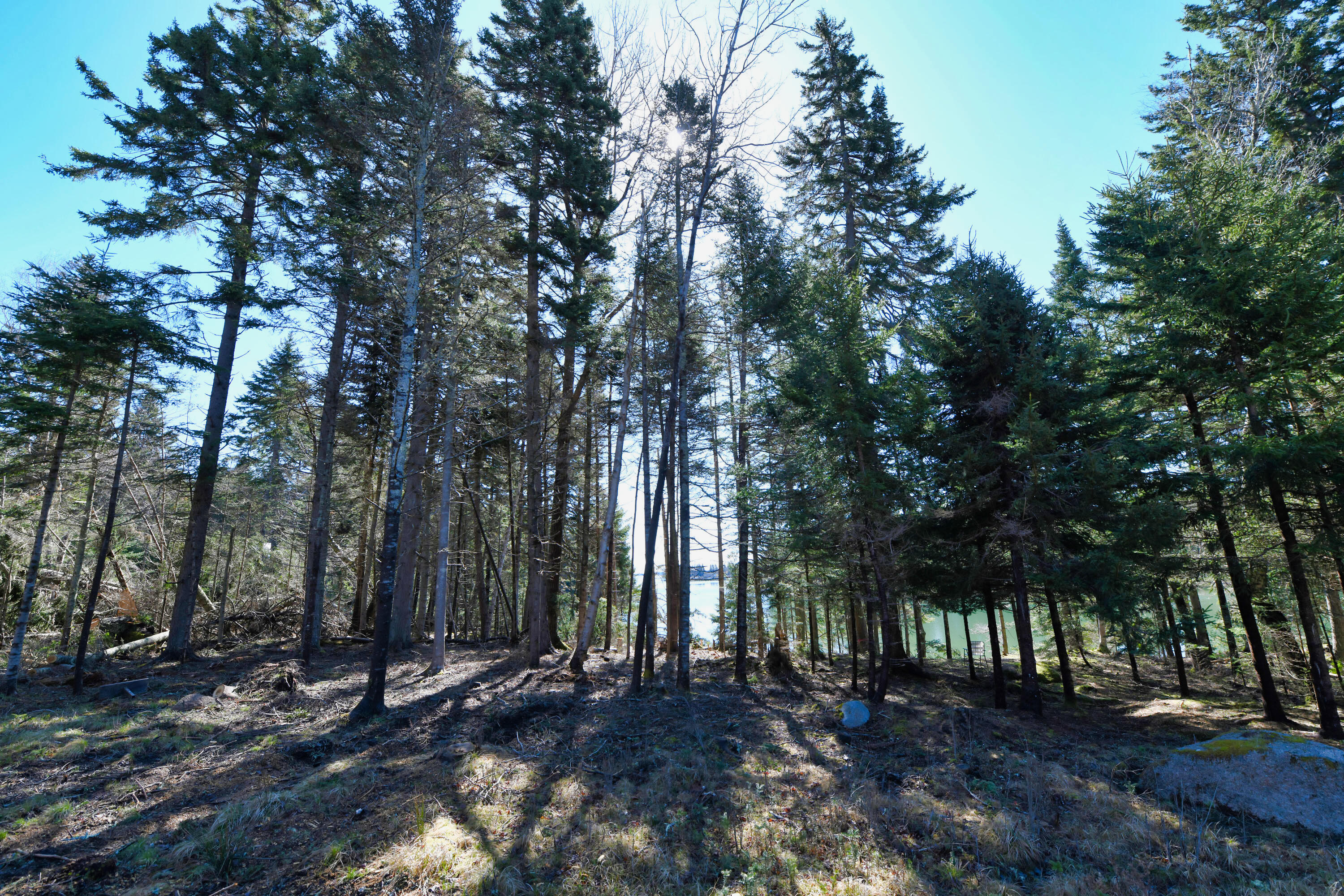 Deer Isle