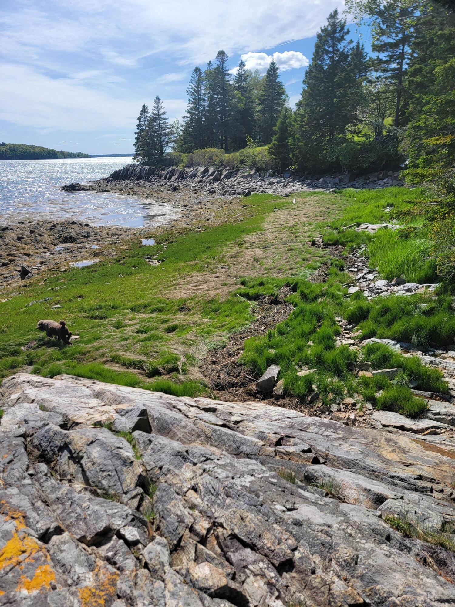 TBD Lamoine Beach Road