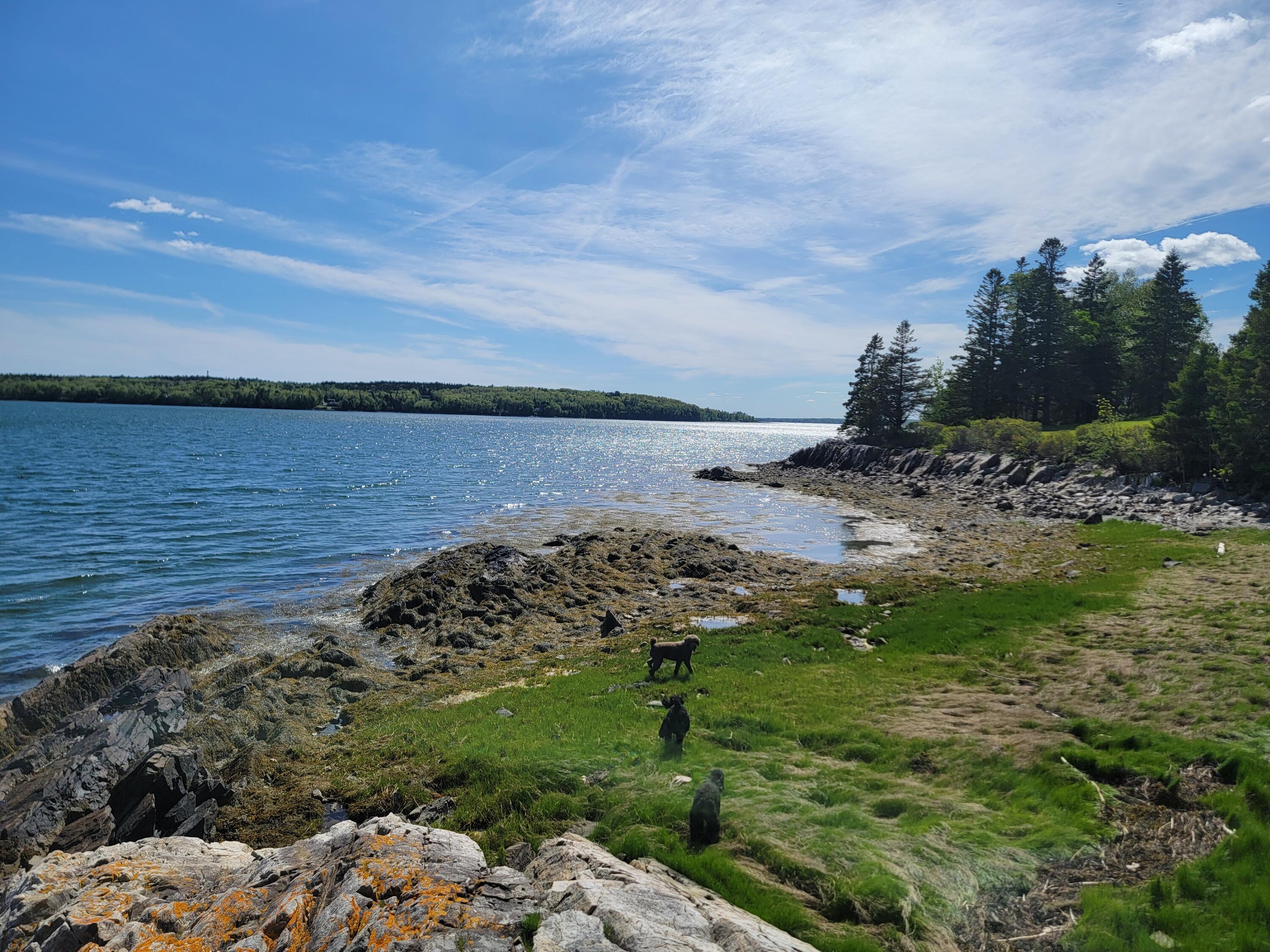 TBD Lamoine Beach Road