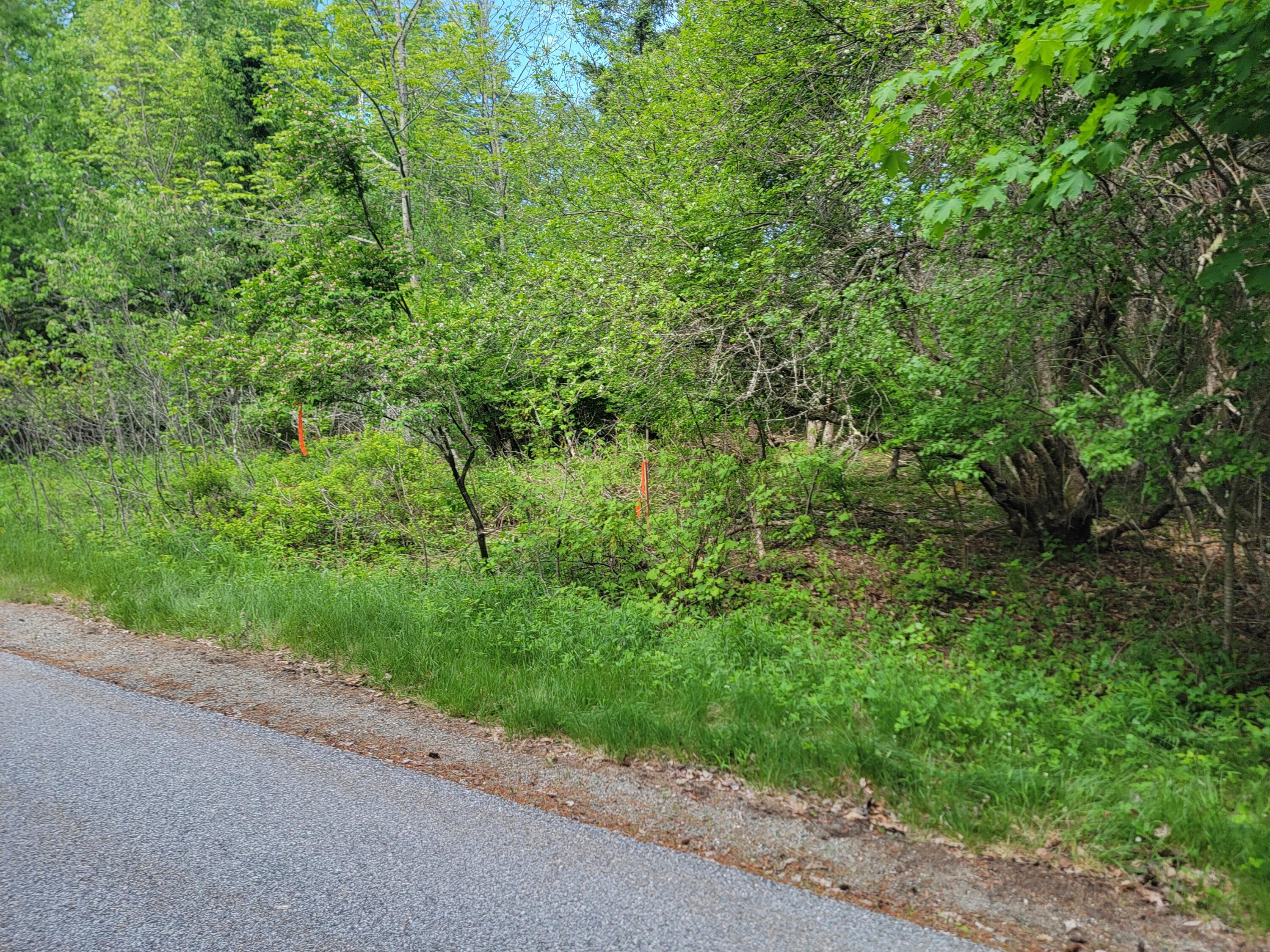 TBD Lamoine Beach Road