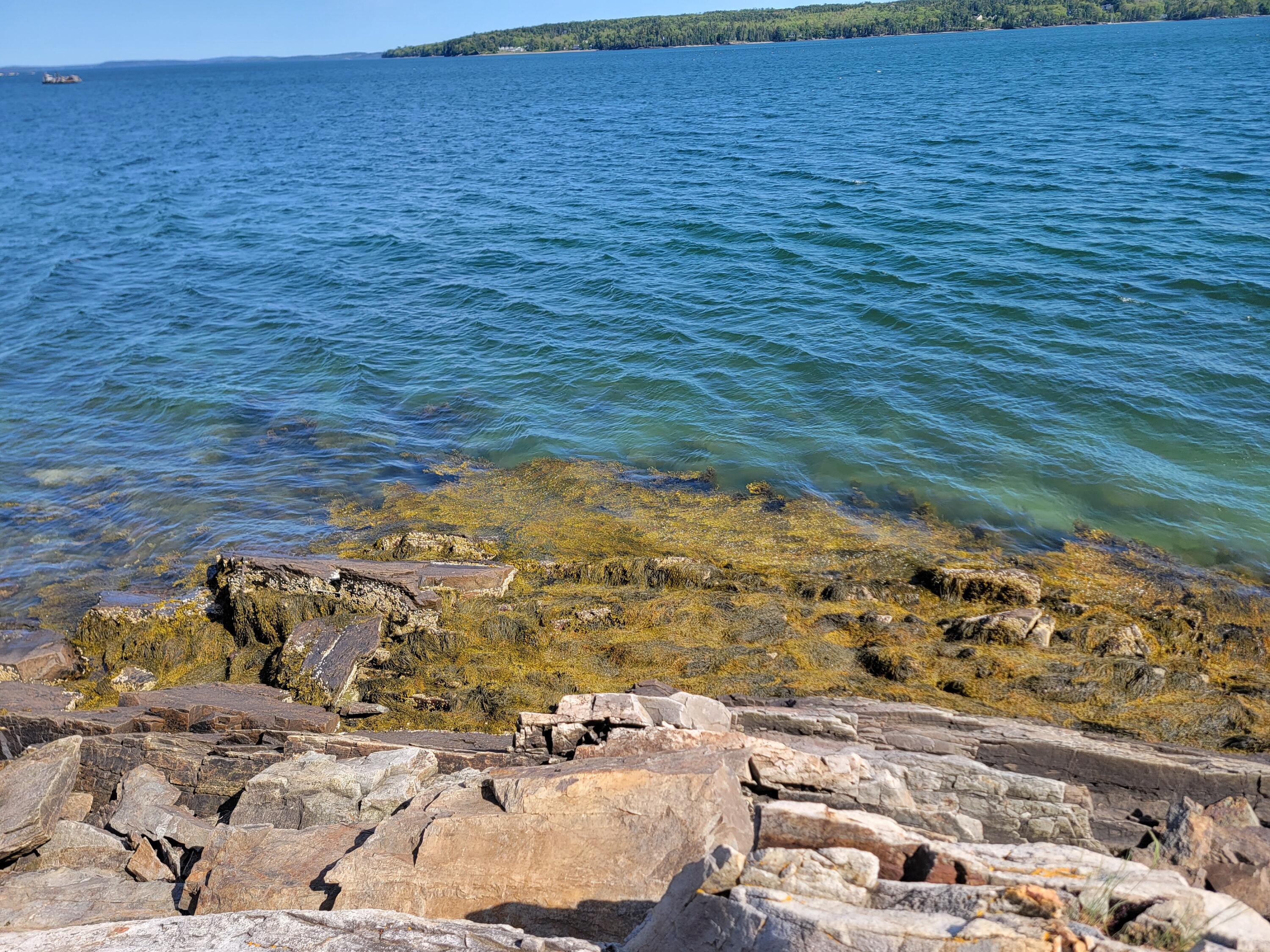 TBD Lamoine Beach Road