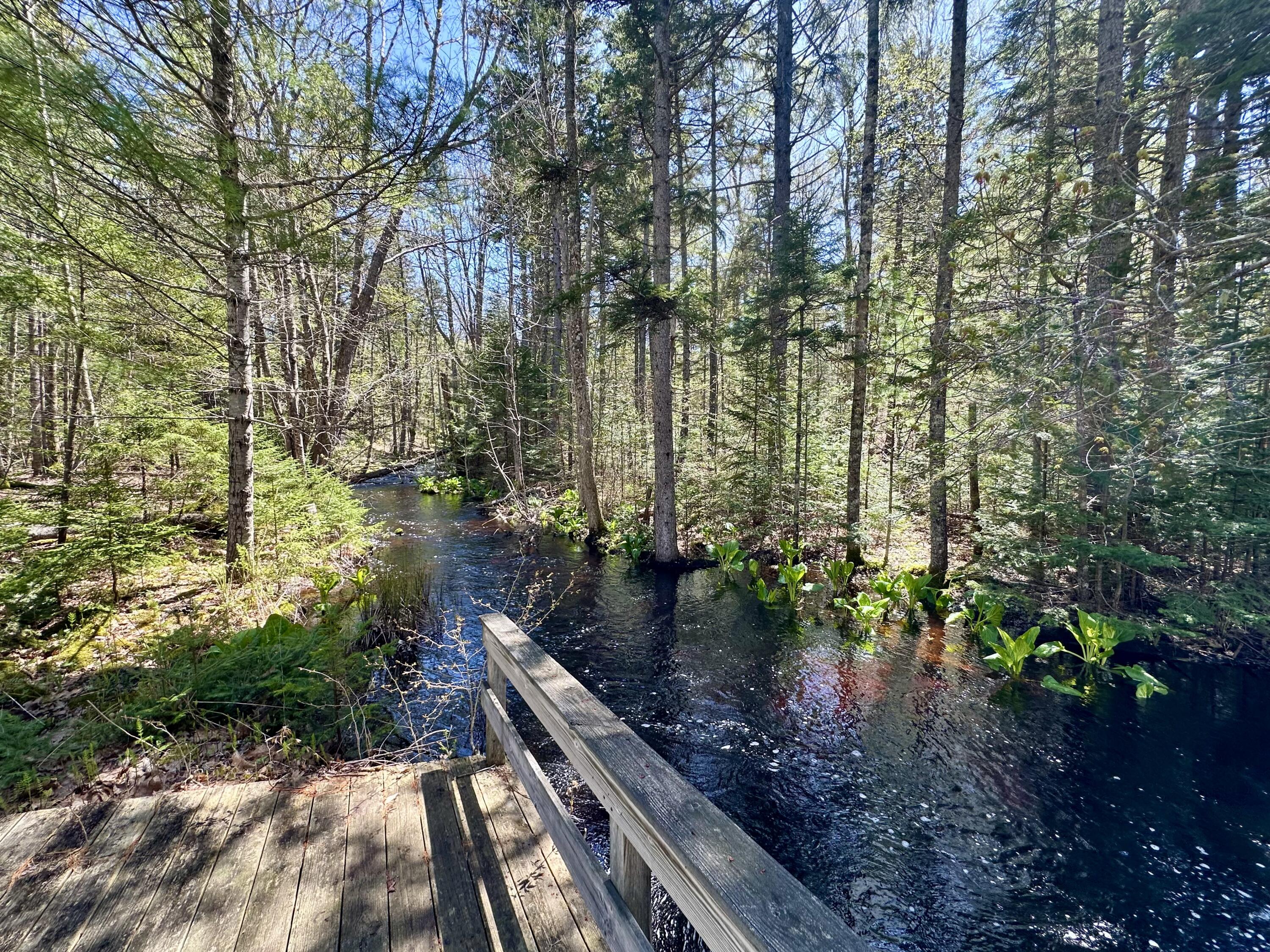 71 Snows Cove Road