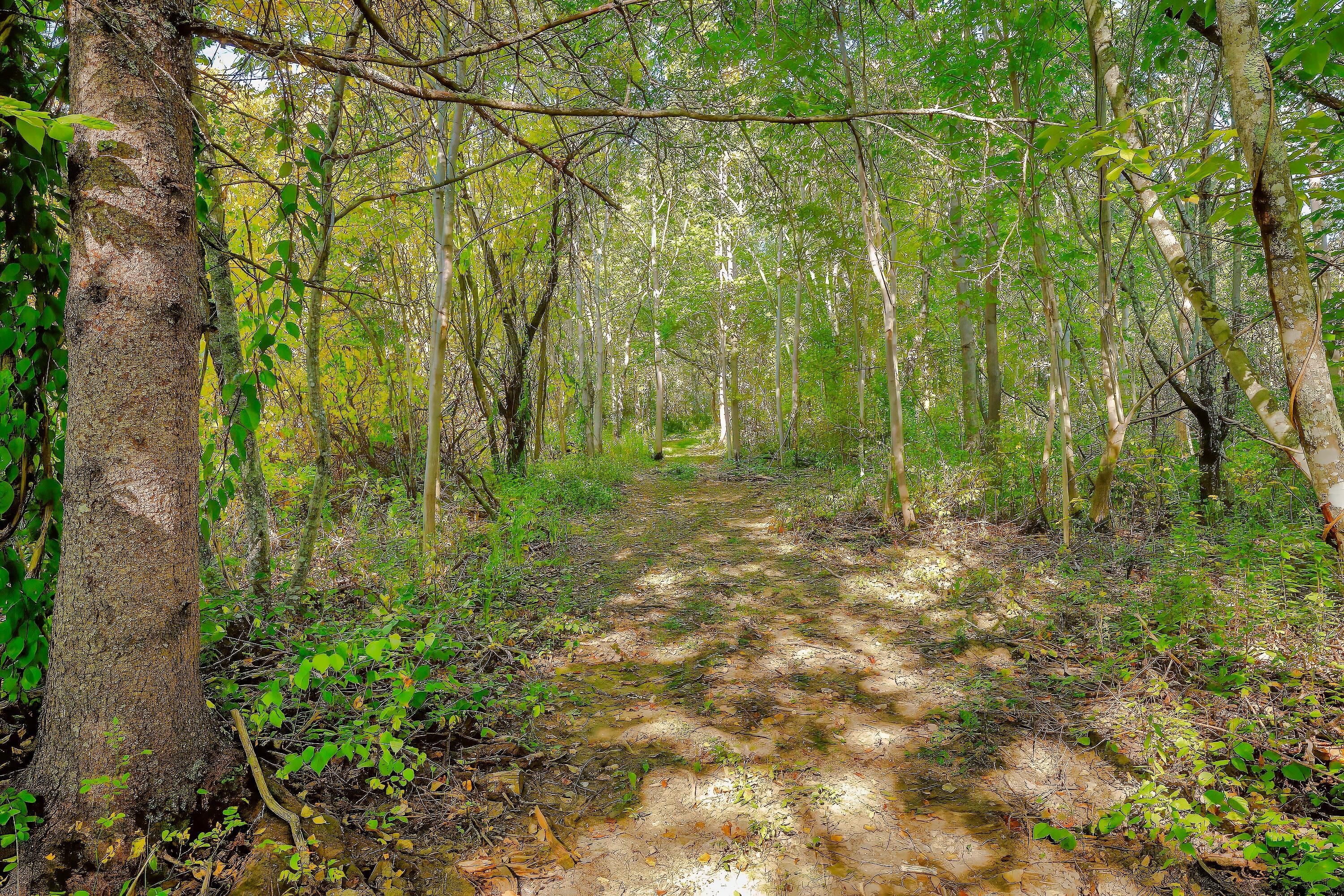 87 Carter Point Road