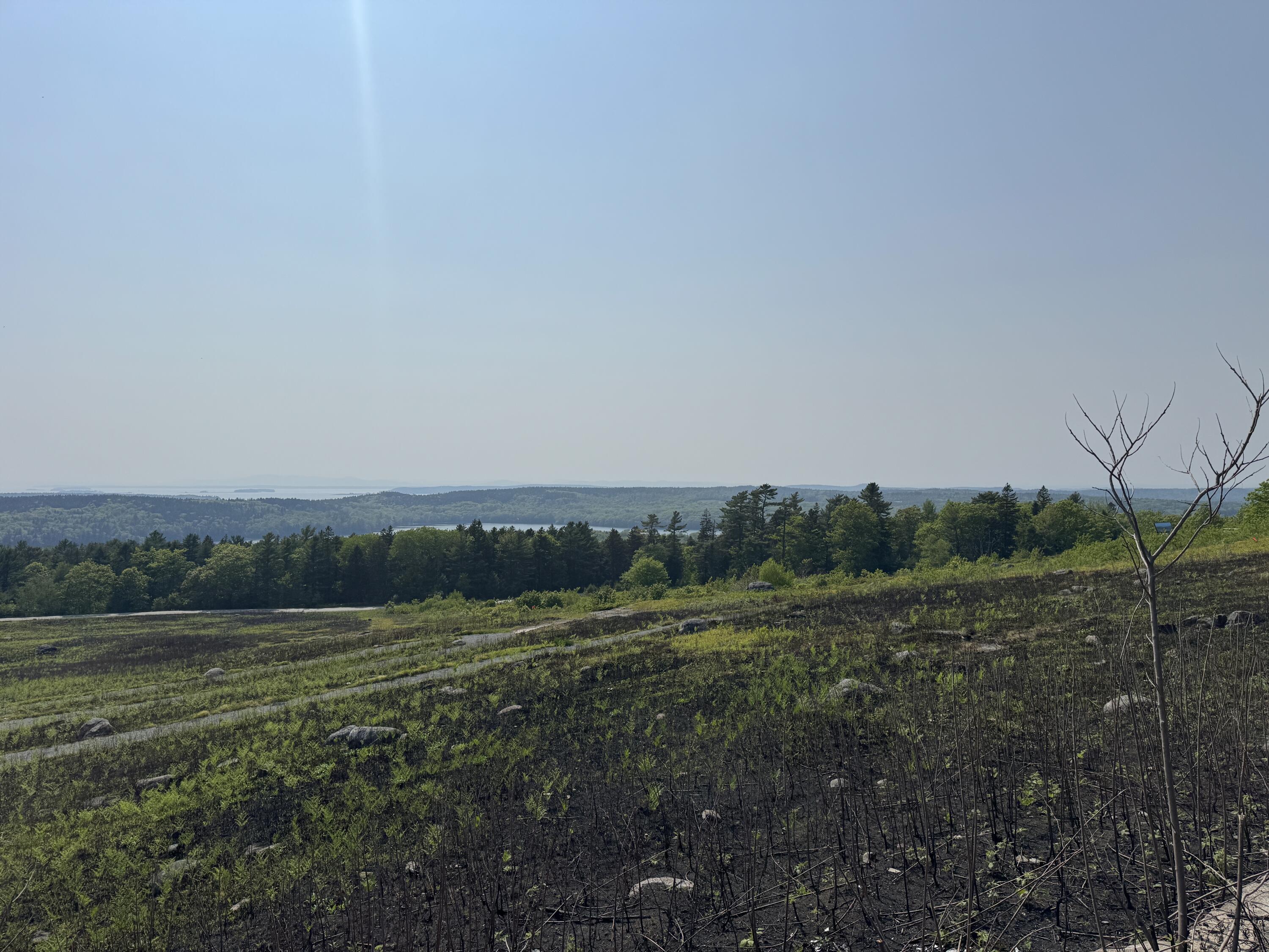 36 Wiegand Place, Deer Isle