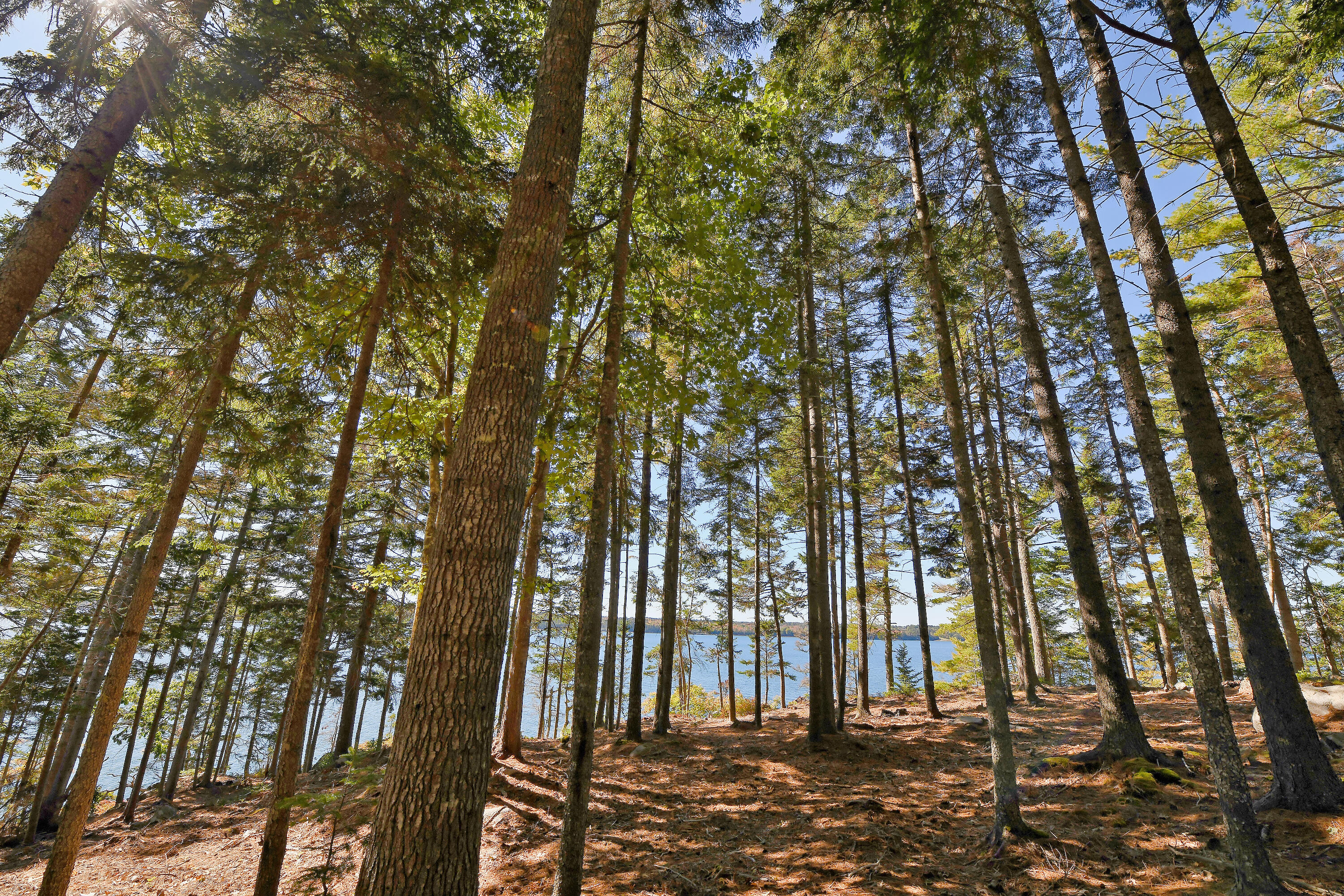 Lot 6 Sunset Road