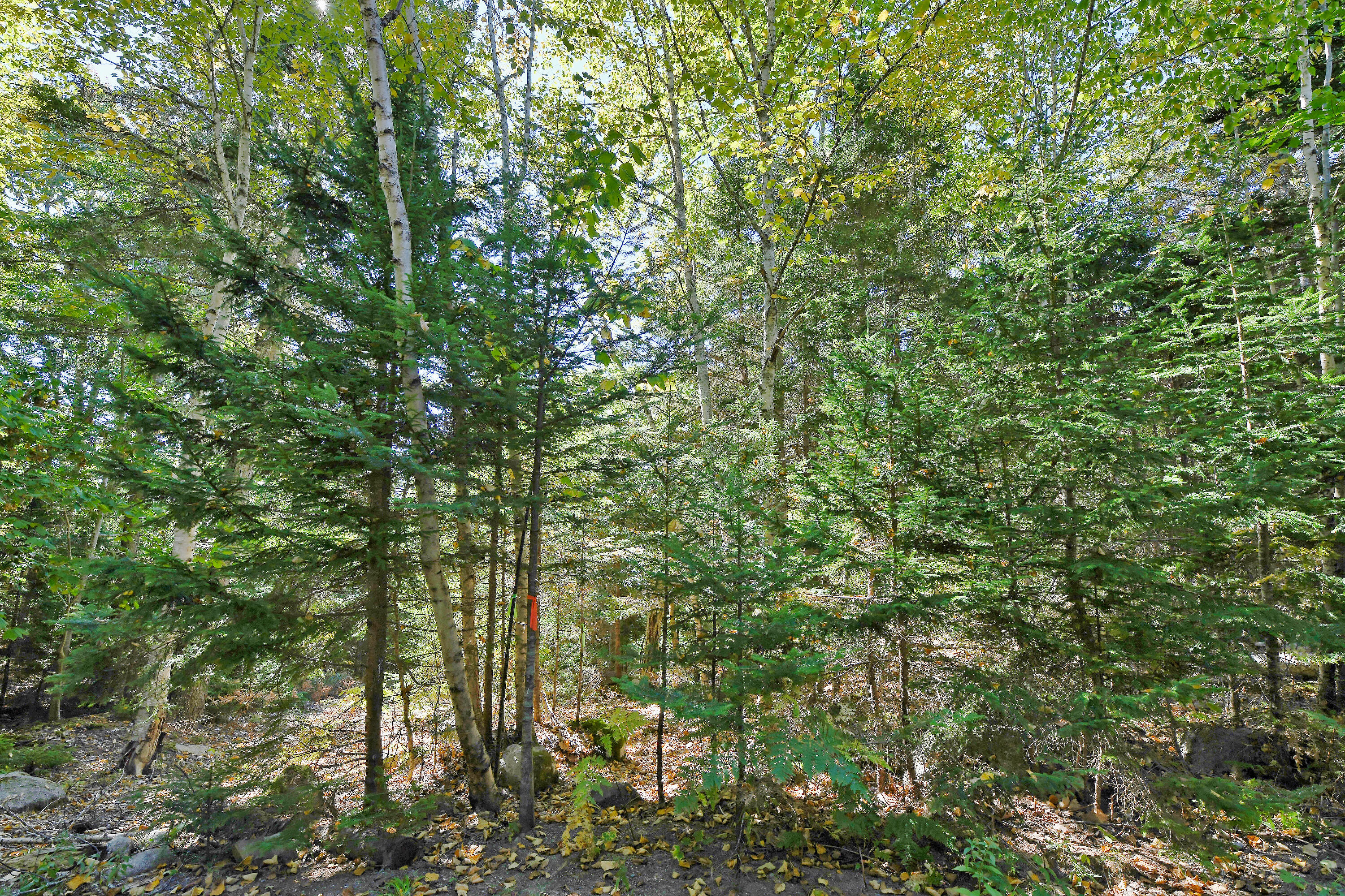 Lot 6 Sunset Road