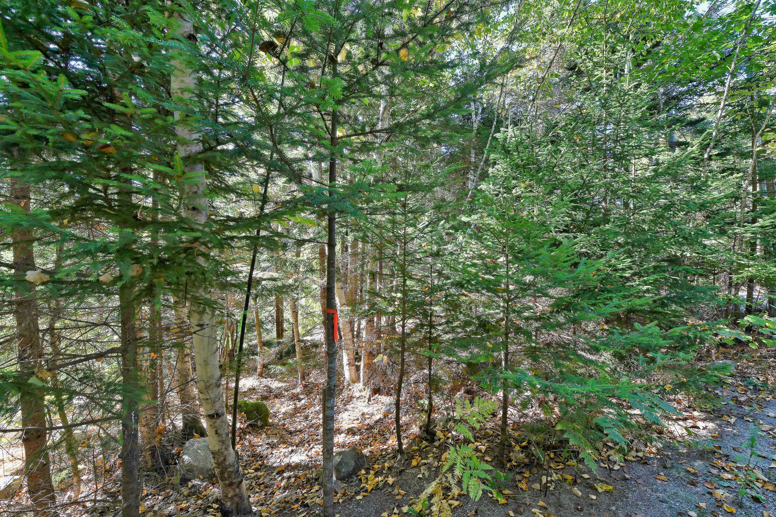 Lot 6 Sunset Road