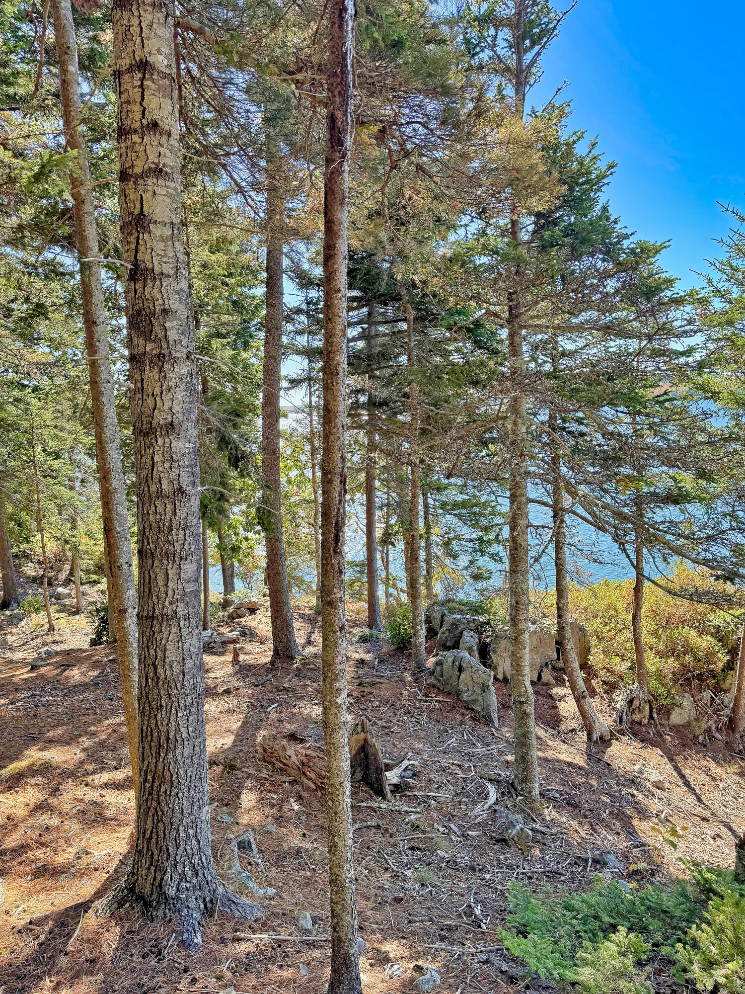 Lot 6 Sunset Road