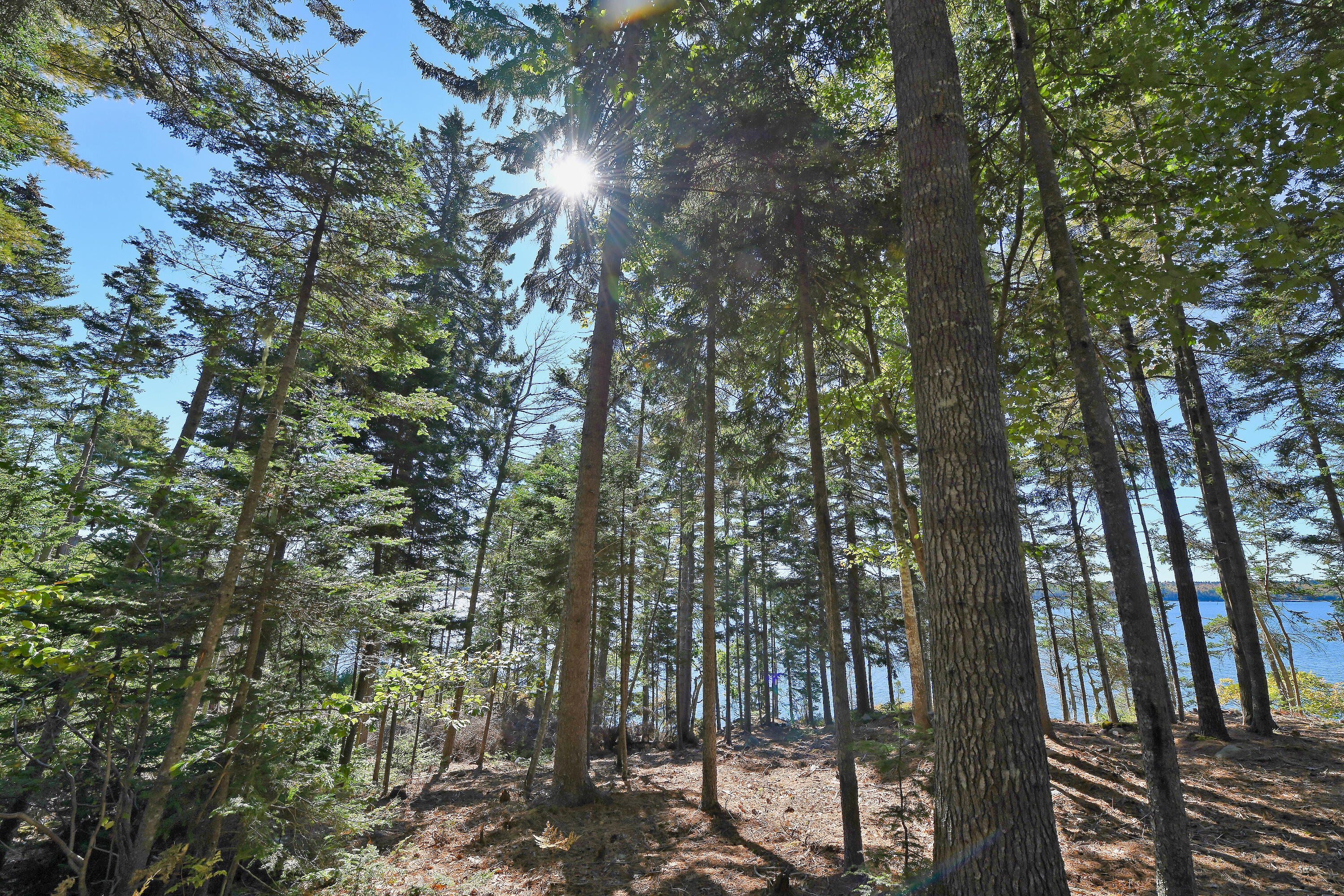 Lot 6 Sunset Road