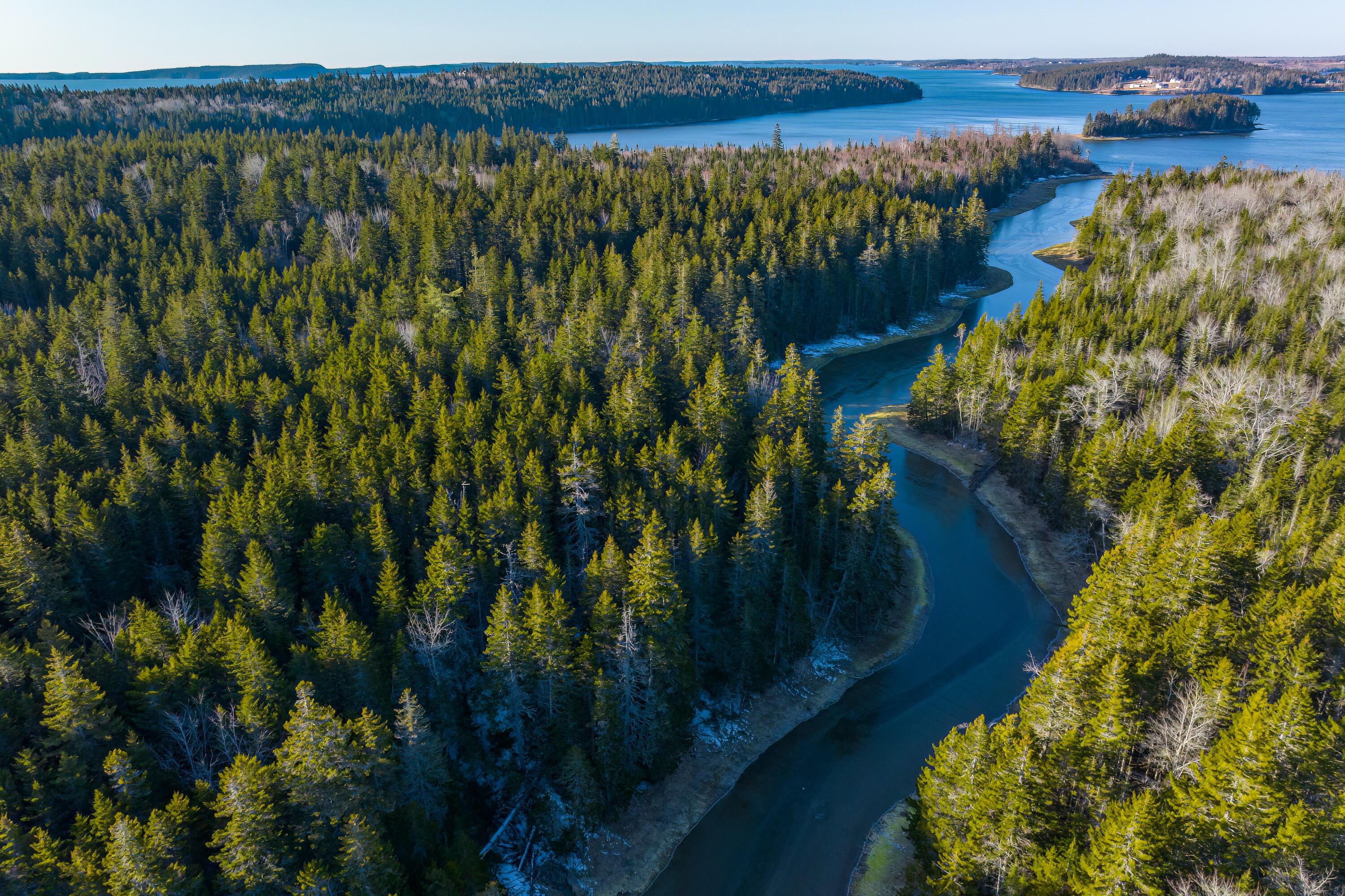 Lot 76-77 Nepp Point Road, Roque Bluffs