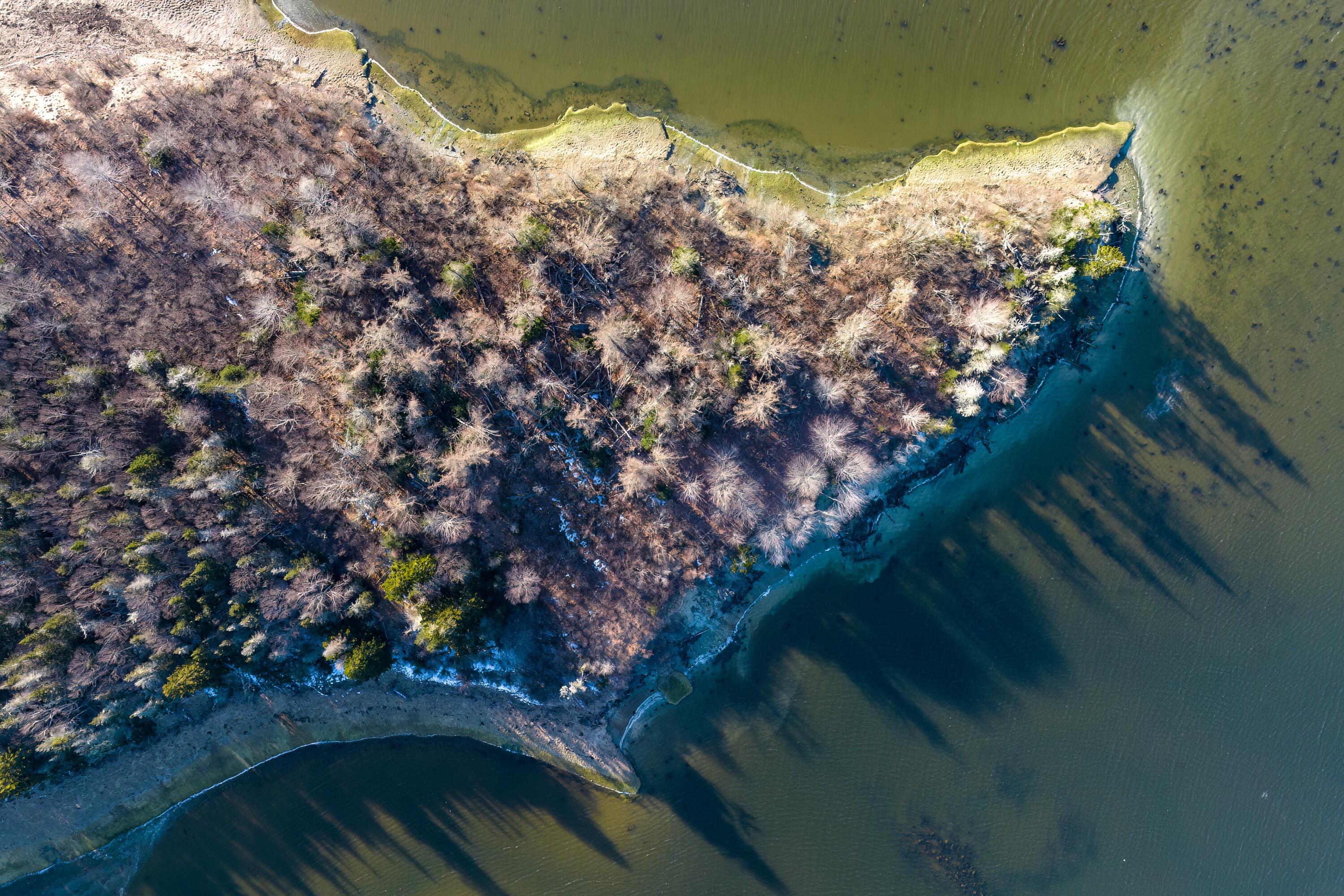 Lot 76-77 Nepp Point Road, Roque Bluffs