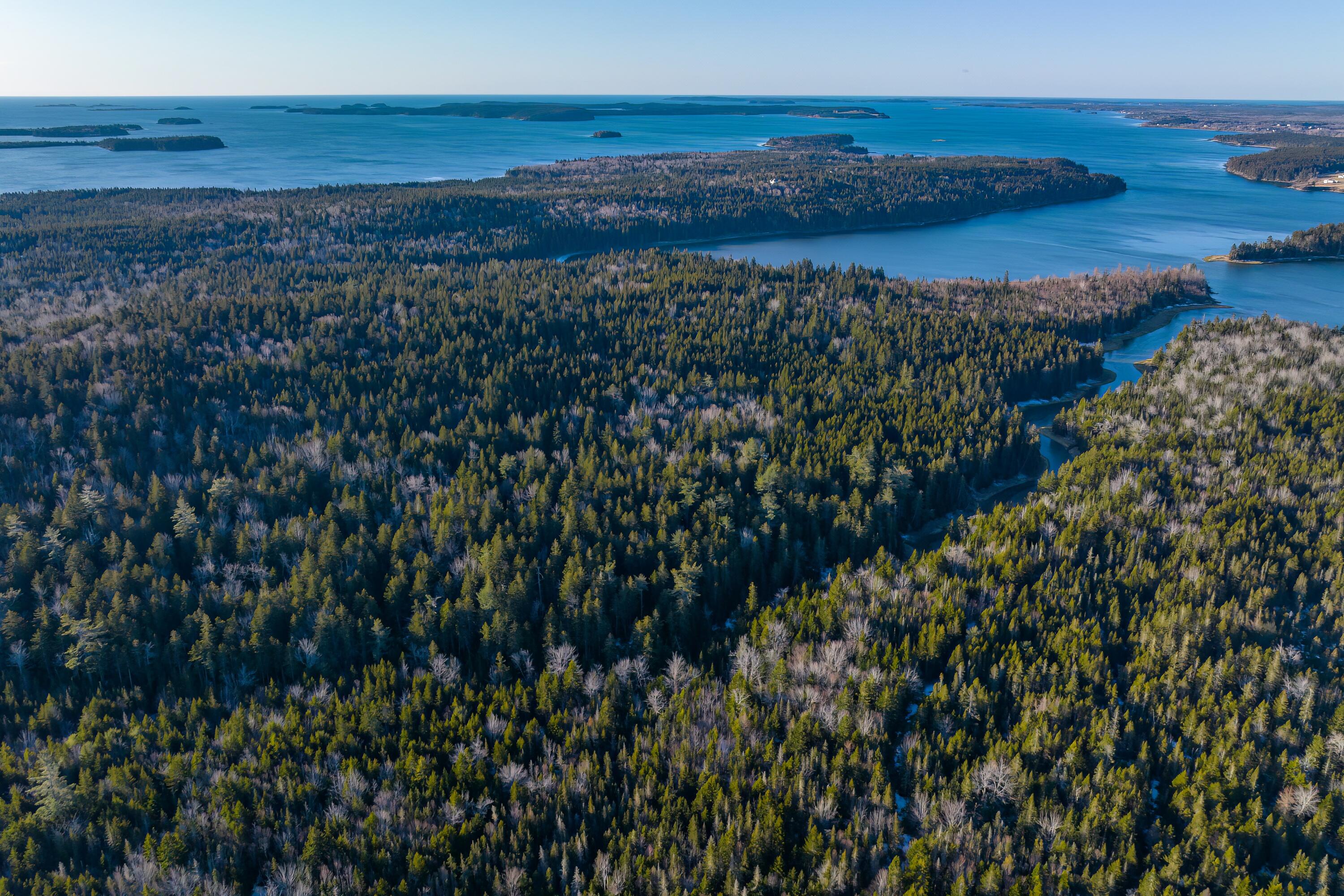 Lot 76-77 Nepp Point Road, Roque Bluffs