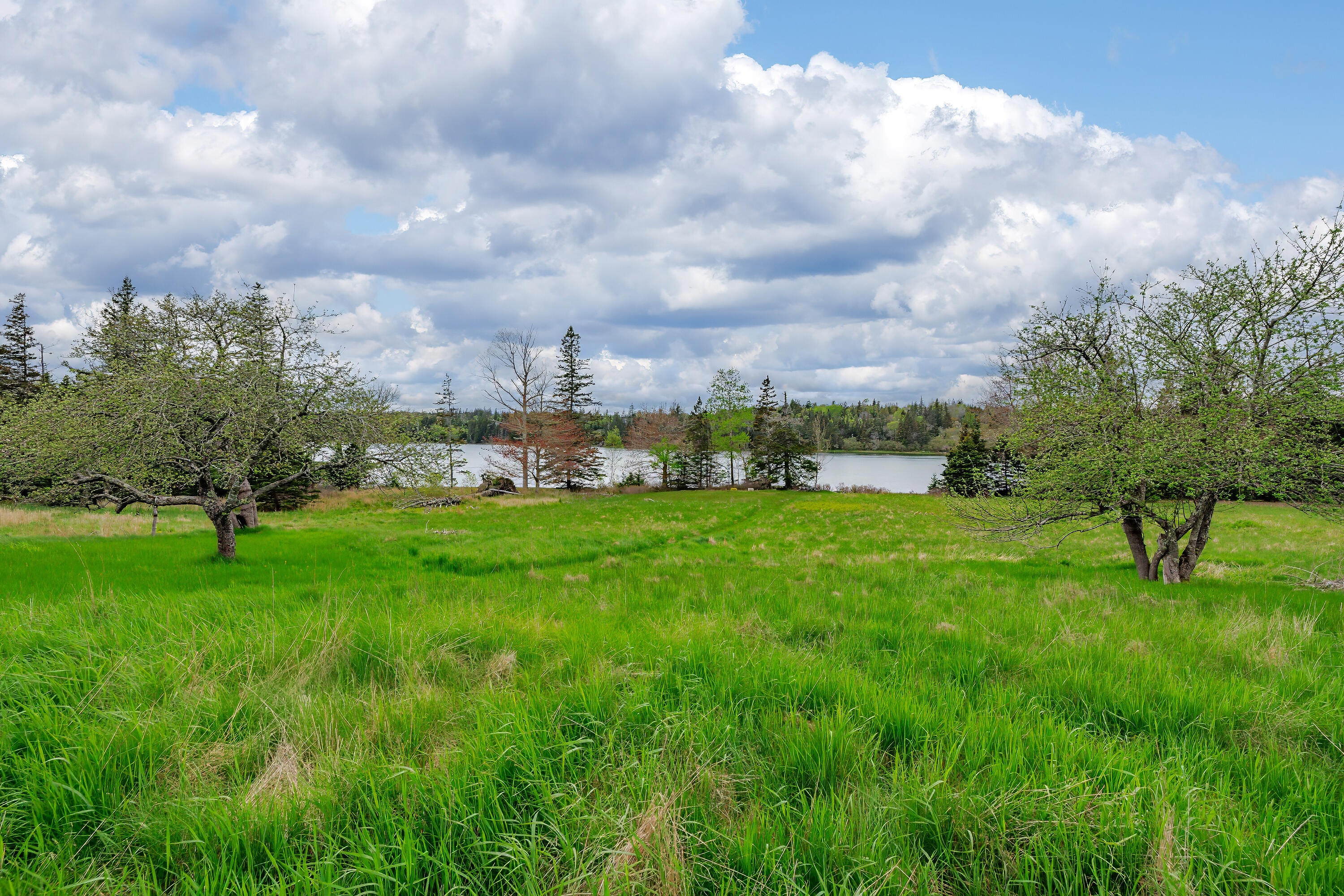 17 Barbour Farm Road