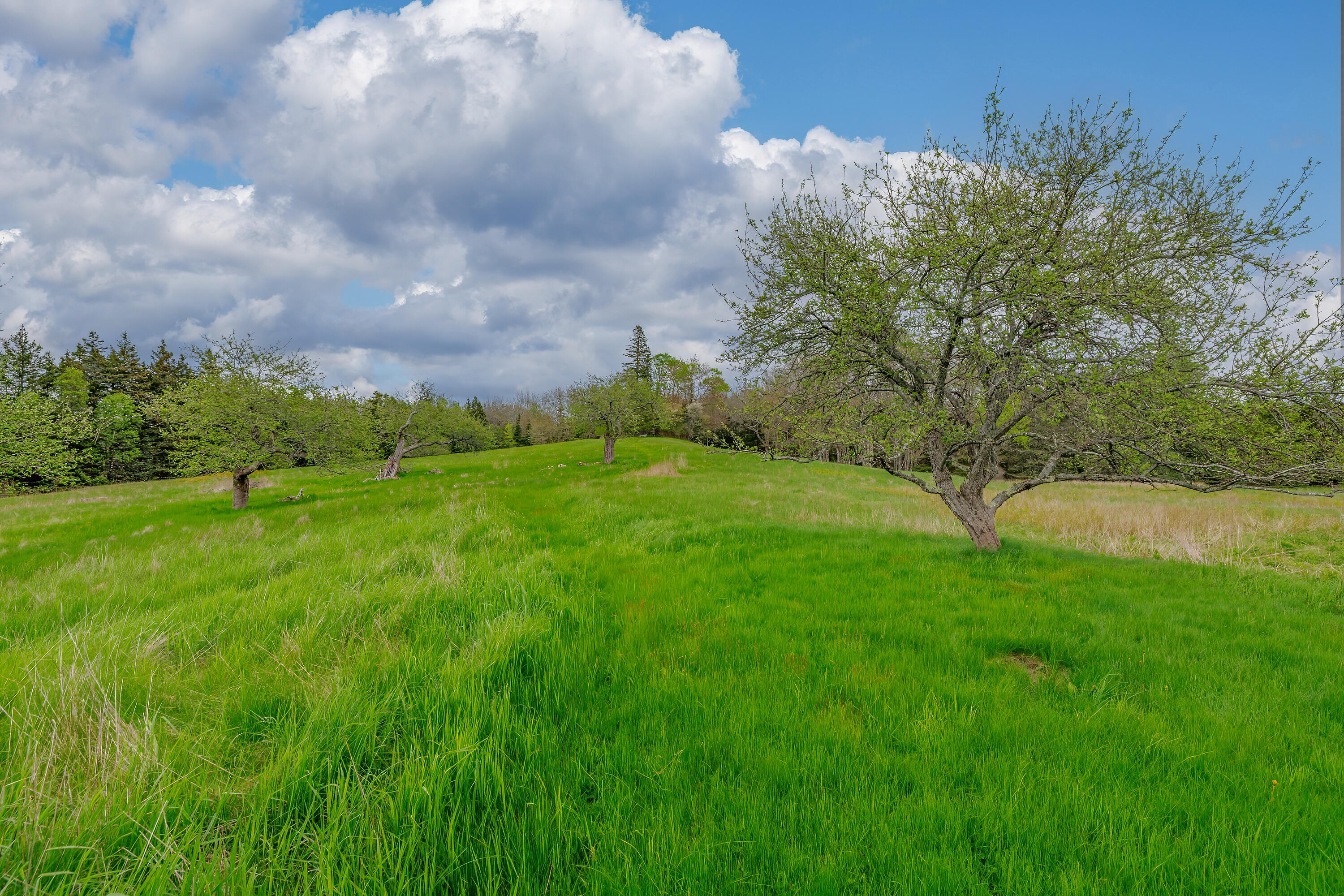 17 Barbour Farm Road