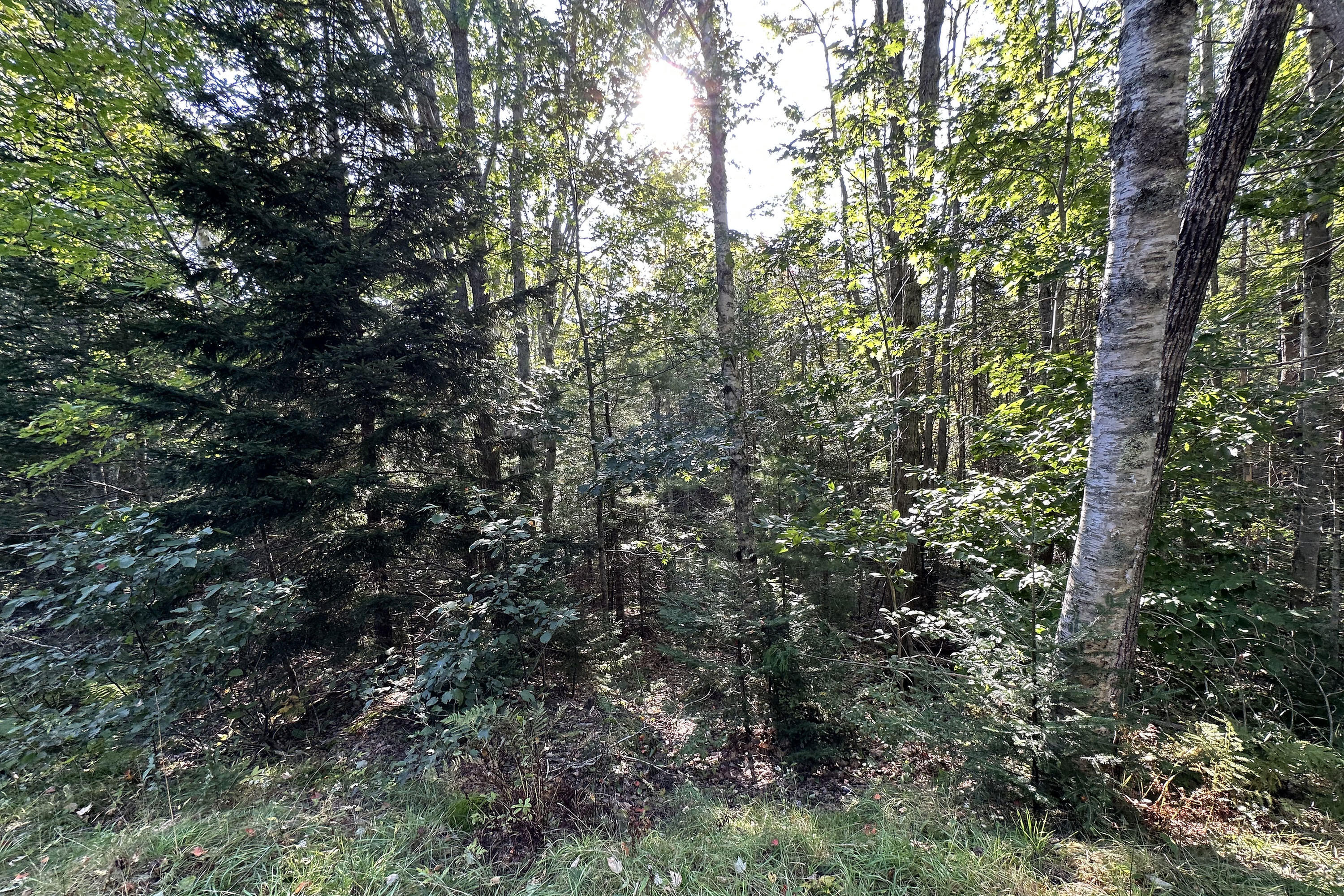 00 Cross Road