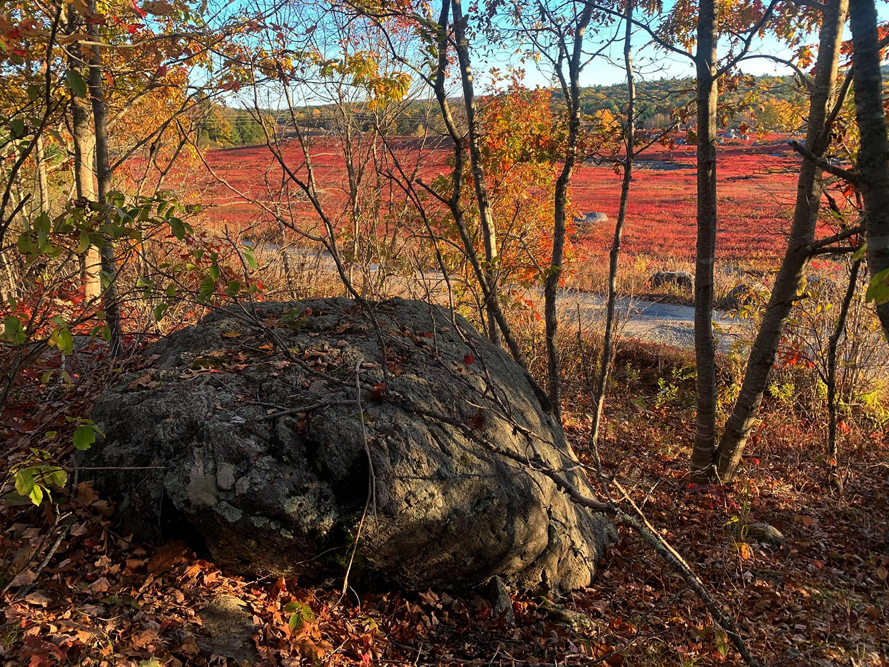 519 Snow's Cove Road