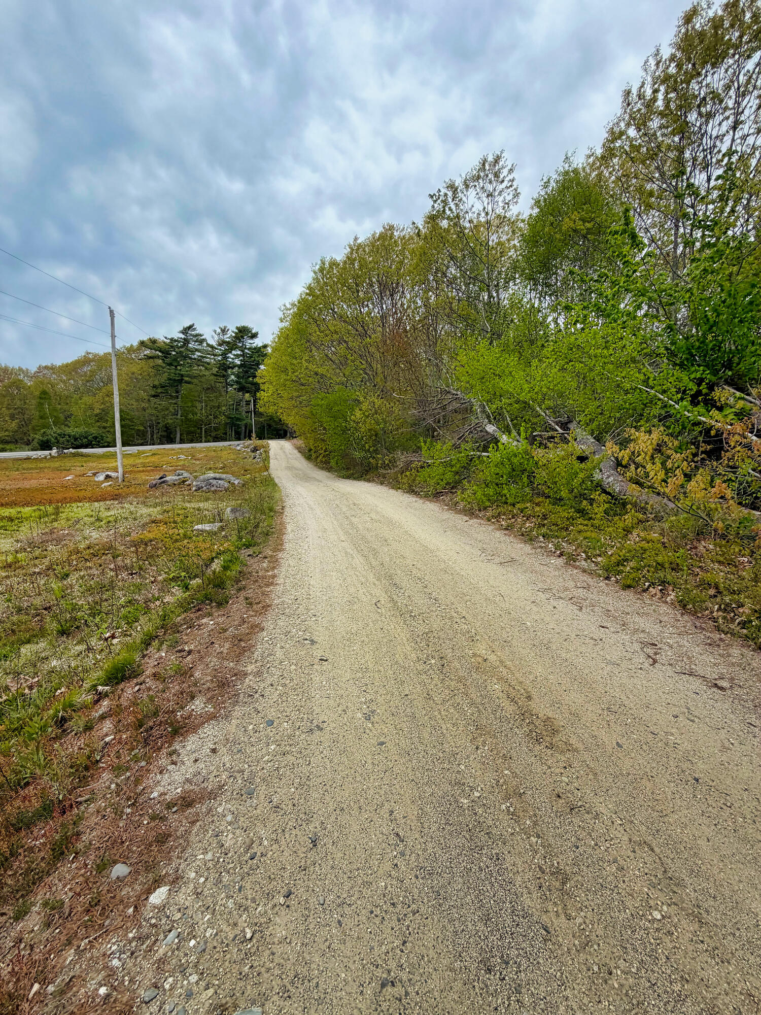 519 Snow's Cove Road