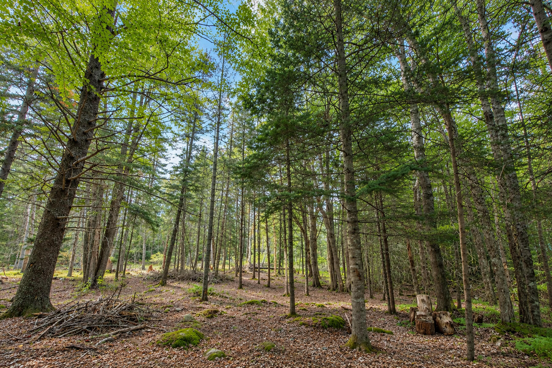 351 N Deer Isle Road