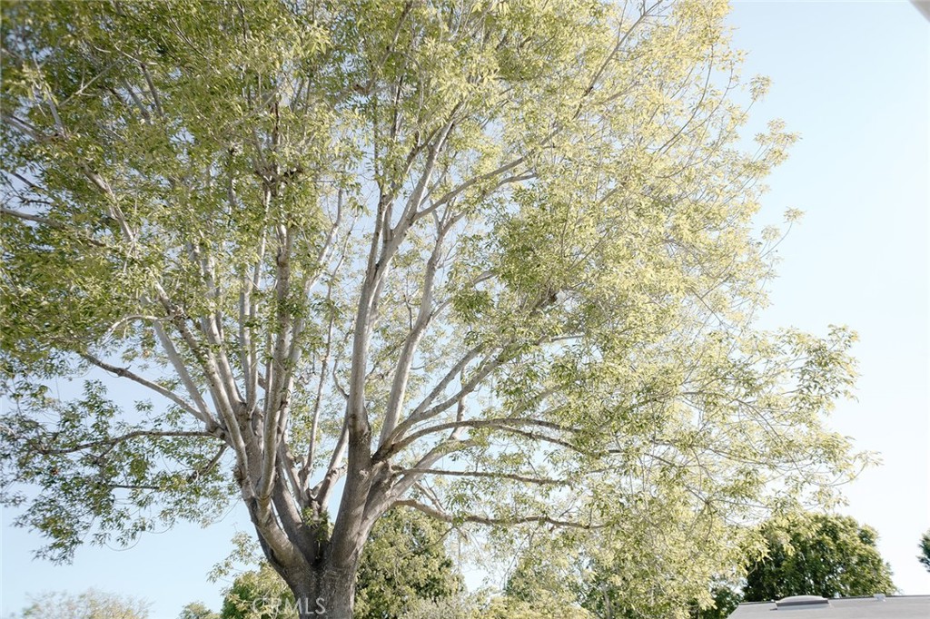 1291 Kenwood Rd. #162L (M7)