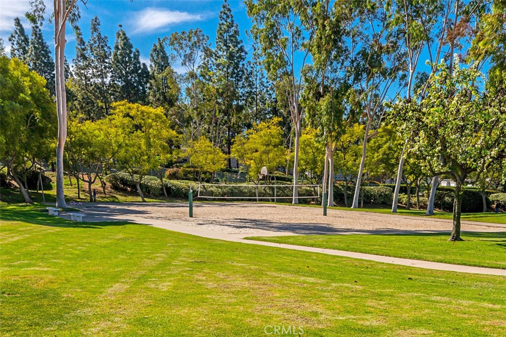 22286 Caminito Mescalero 238