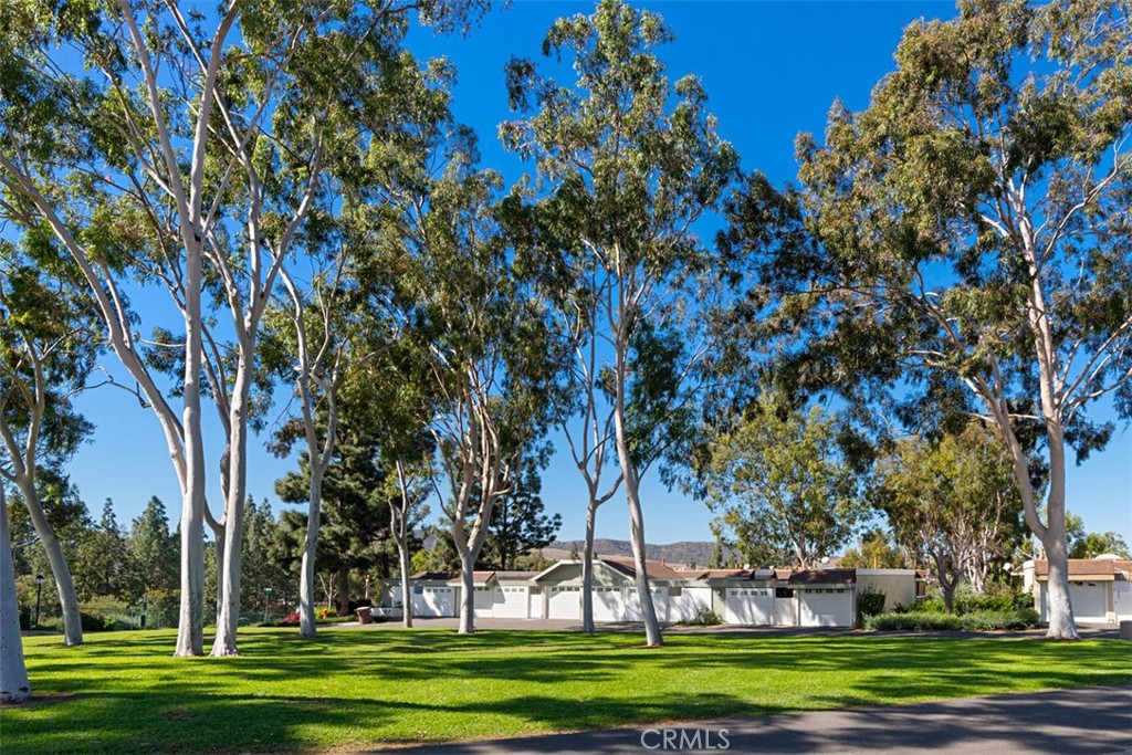 22286 Caminito Mescalero 238