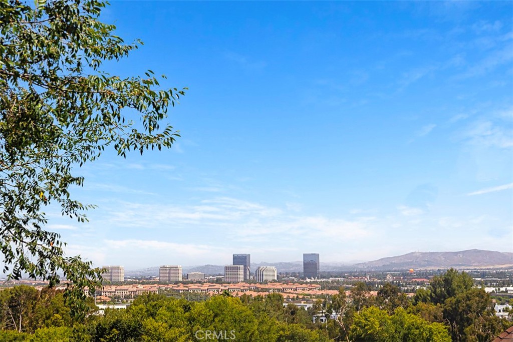 22286 Caminito Mescalero 238