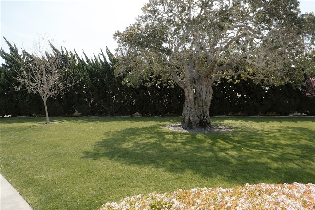 13741 Annandale Dr. #20j (M1)